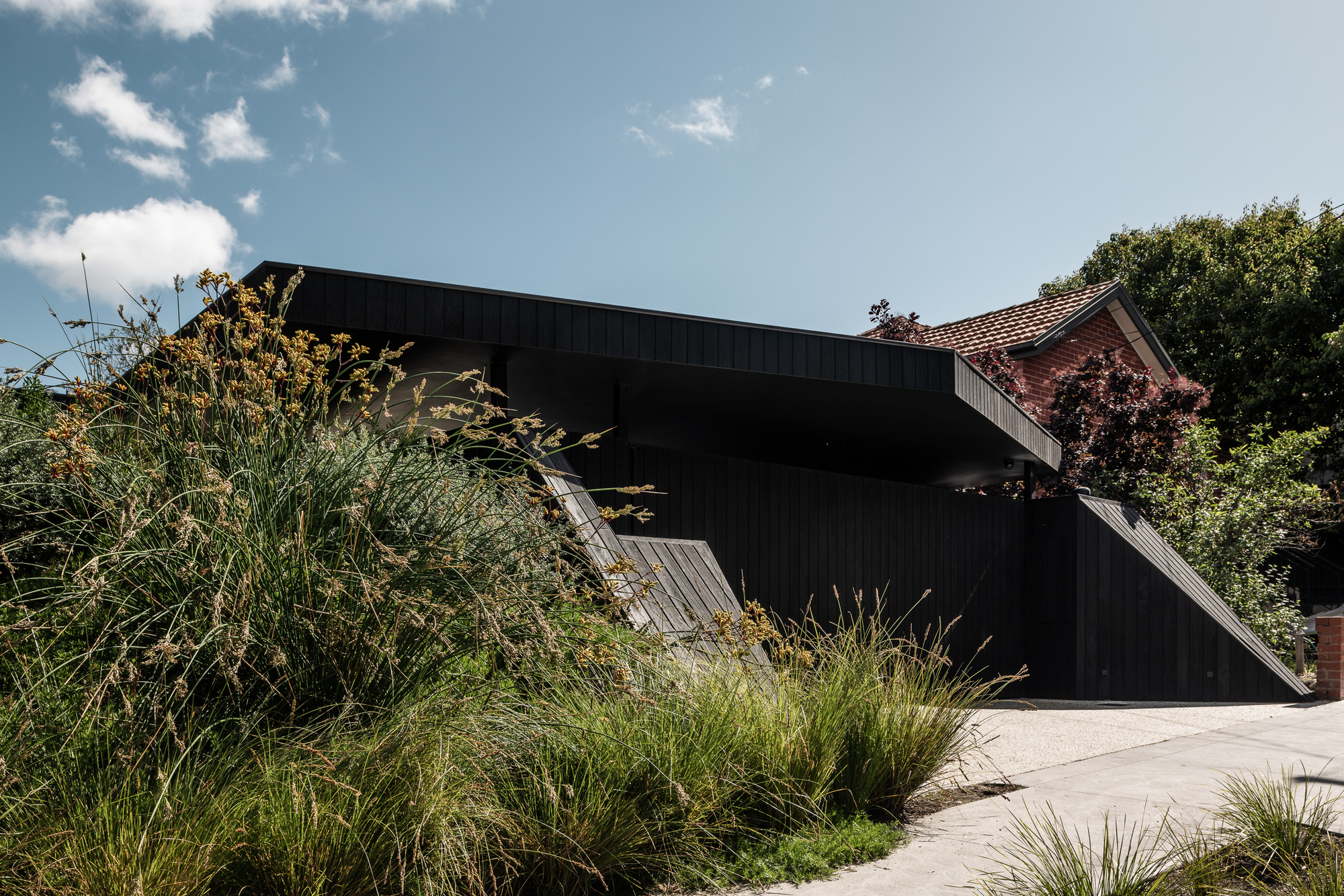 Side view of the angled timber-clad volume with tall grasses in the foreground under blue sky