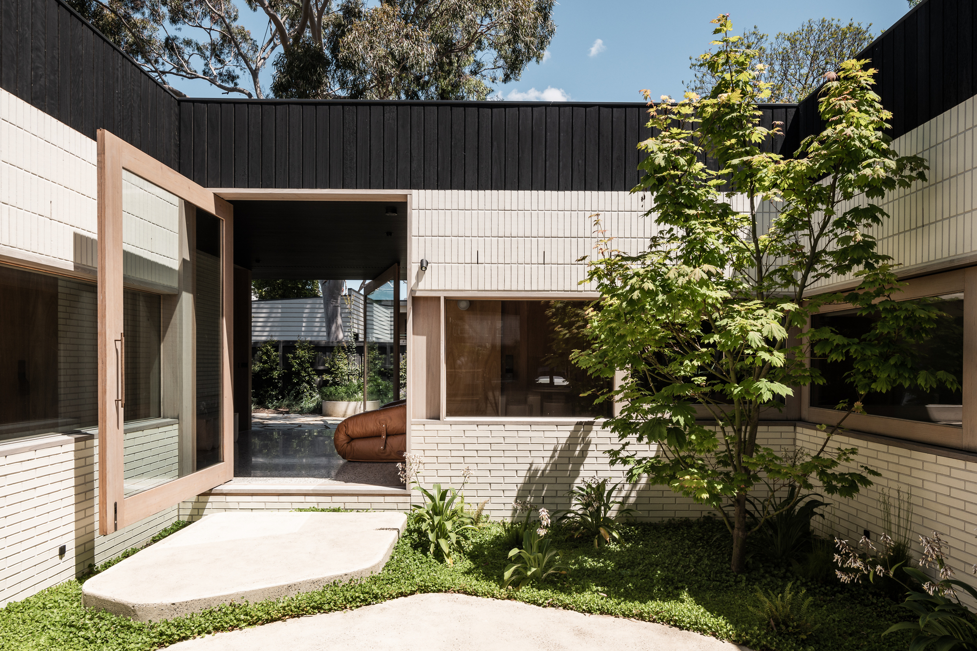 Internal courtyard with planted lawn, young tree and cream brick walls wrapping black timber upper volumes