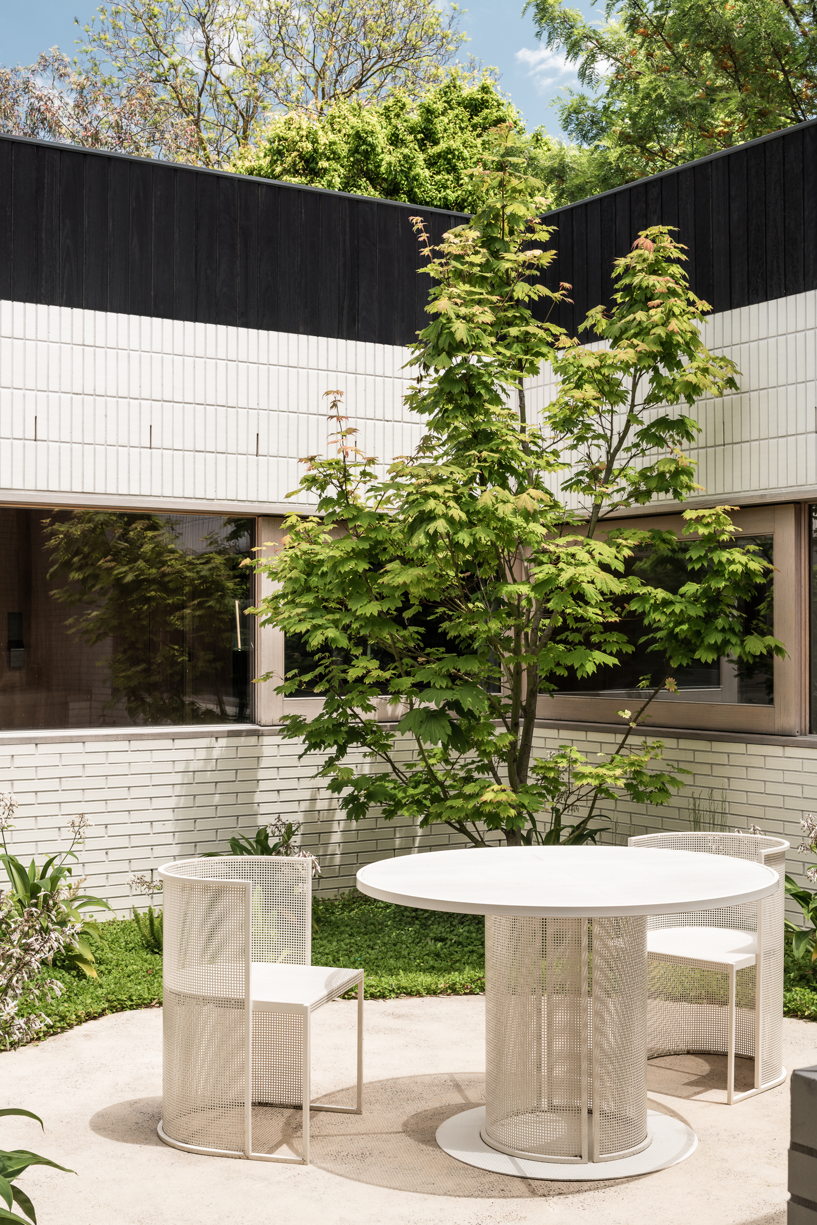 Courtyard terrace with mesh-wrapped dining furniture beneath a Japanese maple and dark timber cladding