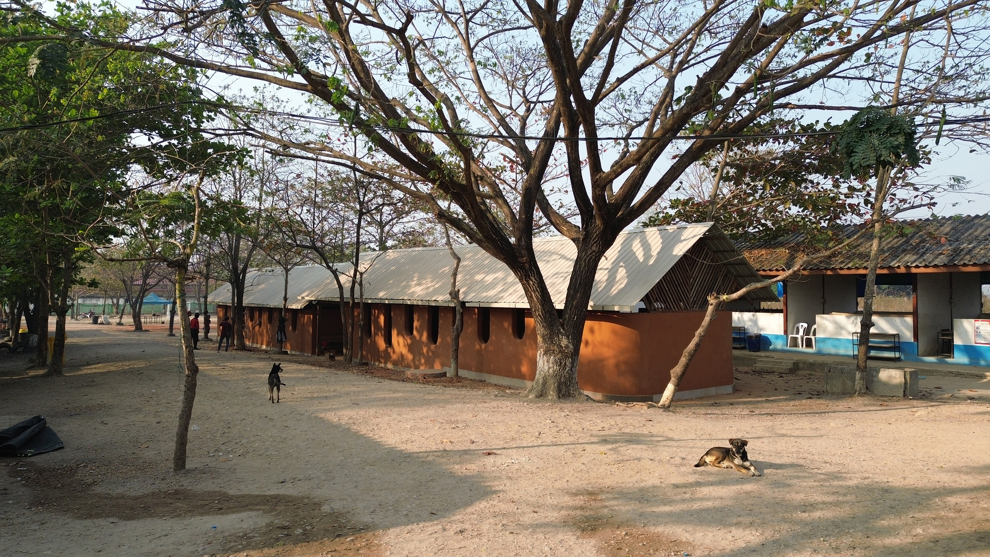 Curved rammed earth wall with circular openings beneath a pitched metal roof and bare trees in dry season