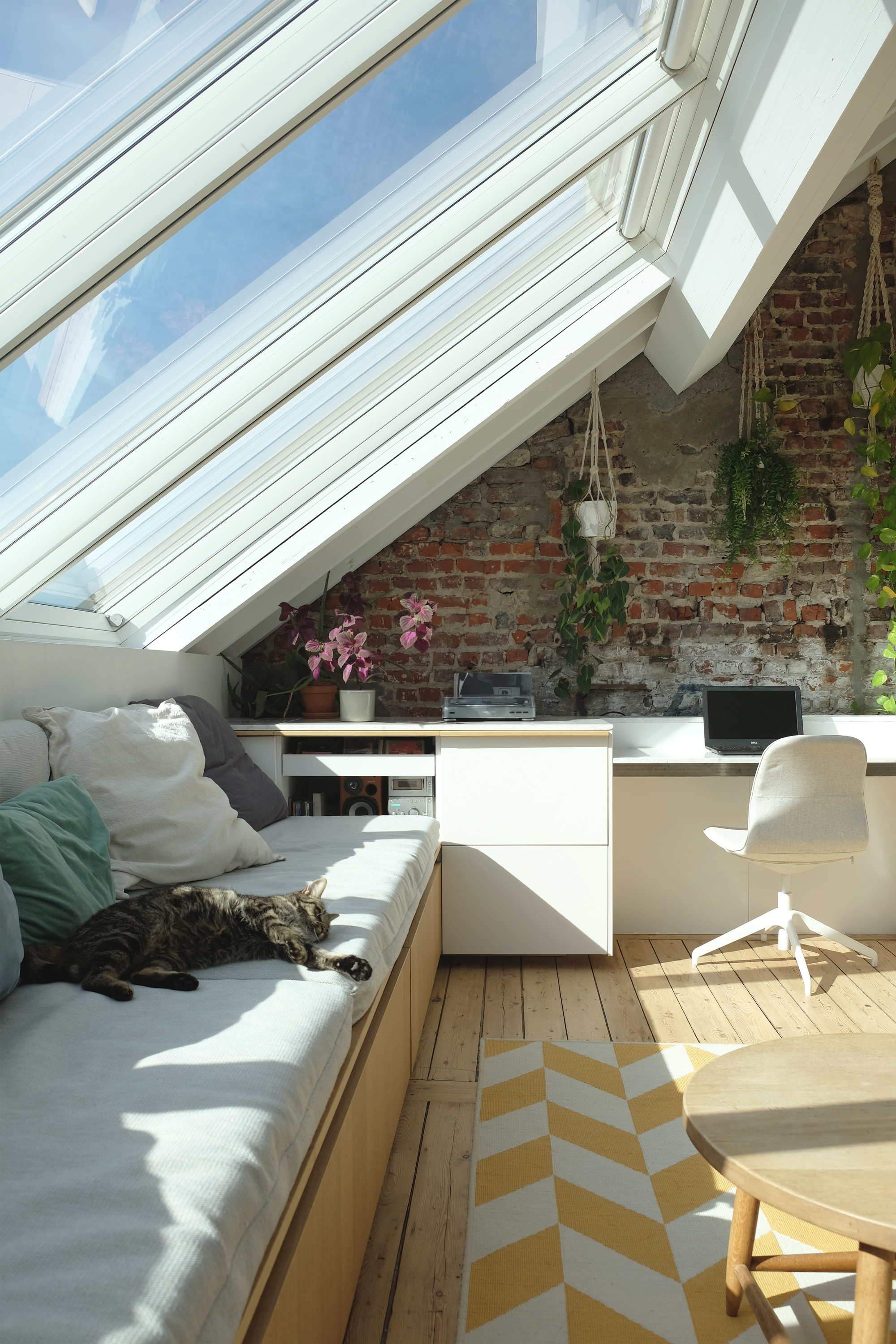 Daybed beneath sloped glazing with exposed brick wall and a cat resting in warm sunlight