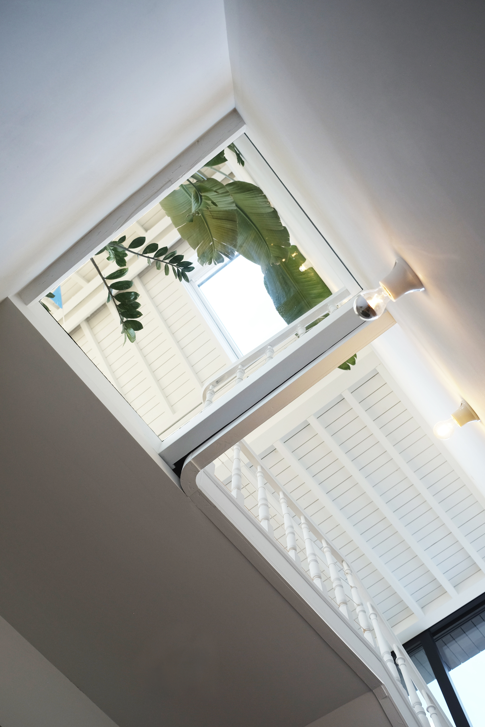Upward view through the central atrium showing white-painted timber ceiling beams and foliage framing the opening