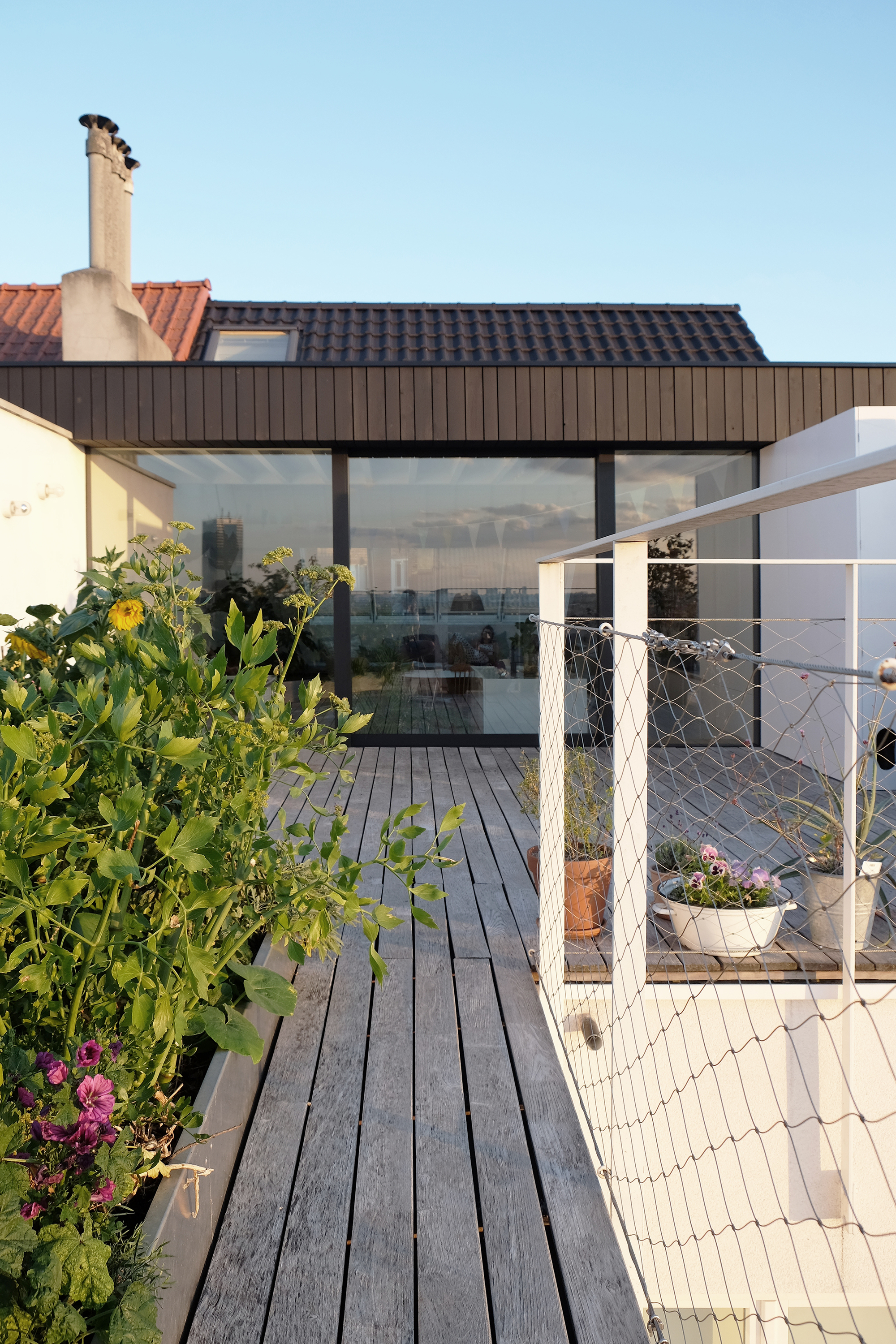 Rooftop deck with timber planks leading to glazed pavilion and white mesh safety netting