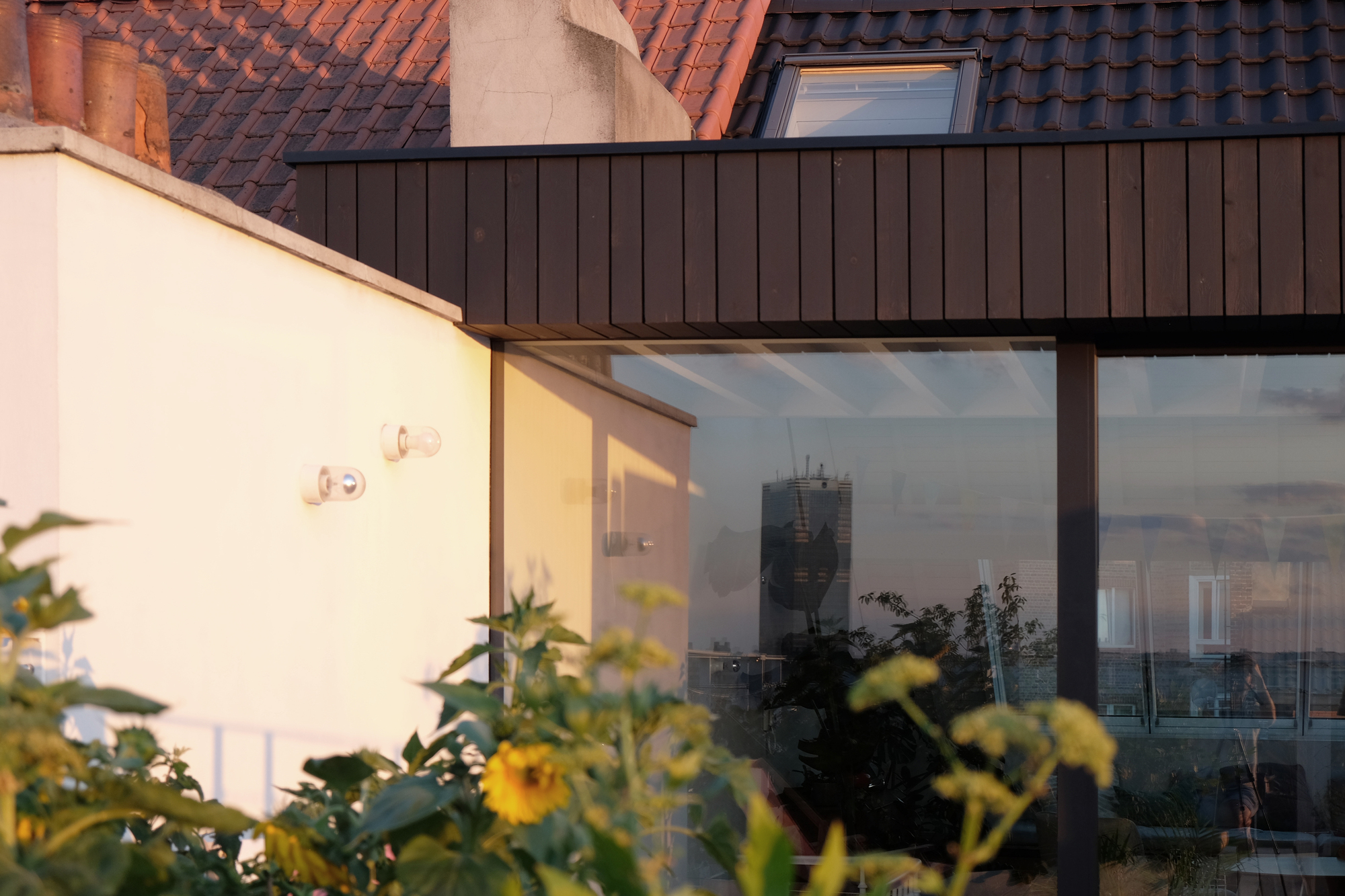 Rooftop terrace with dark vertical cladding and glazed facade overlooking adjacent terracotta roofs and sunflowers