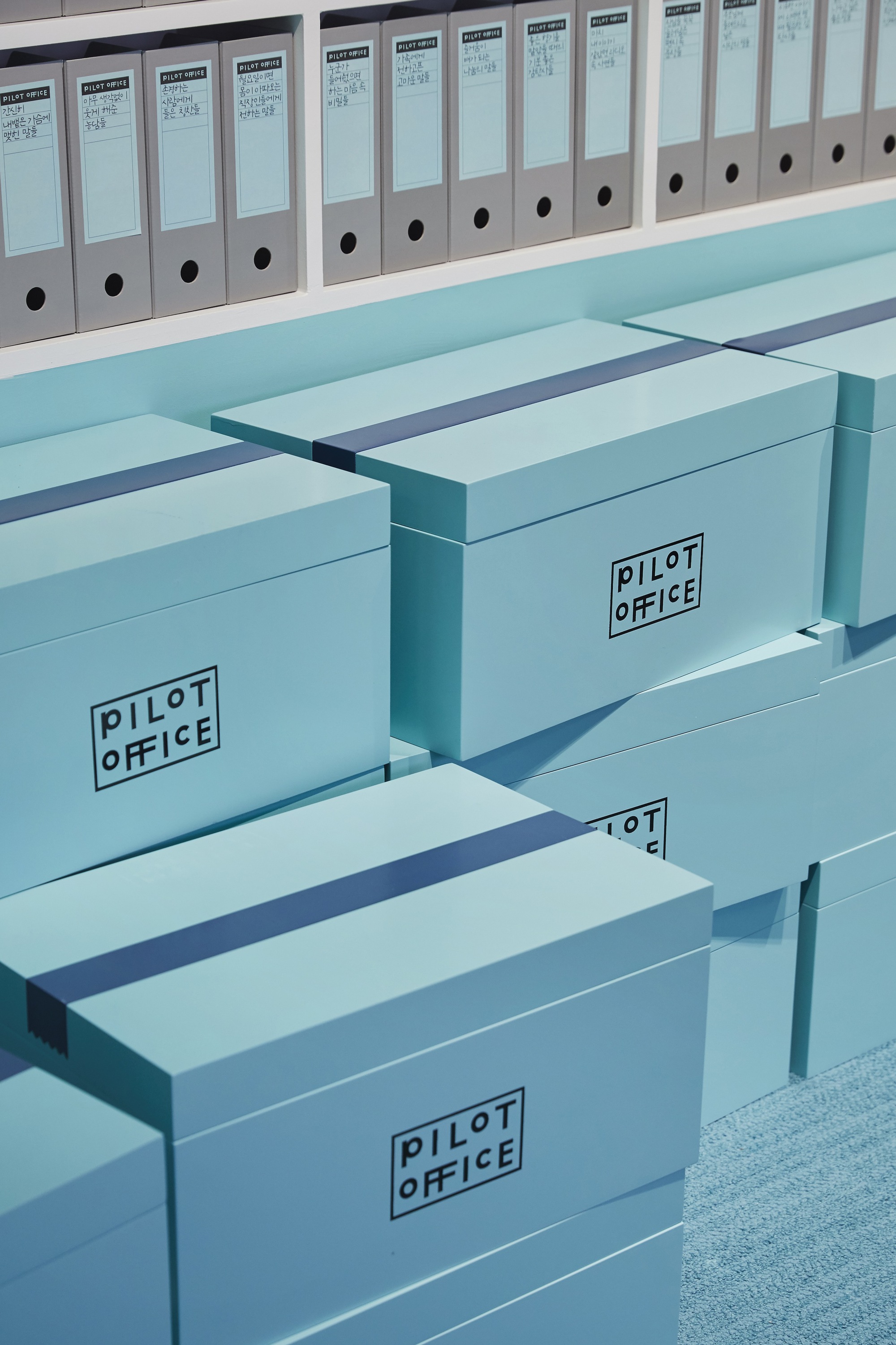 Storage boxes and binders arranged on stepped shelving units in a coordinated color scheme