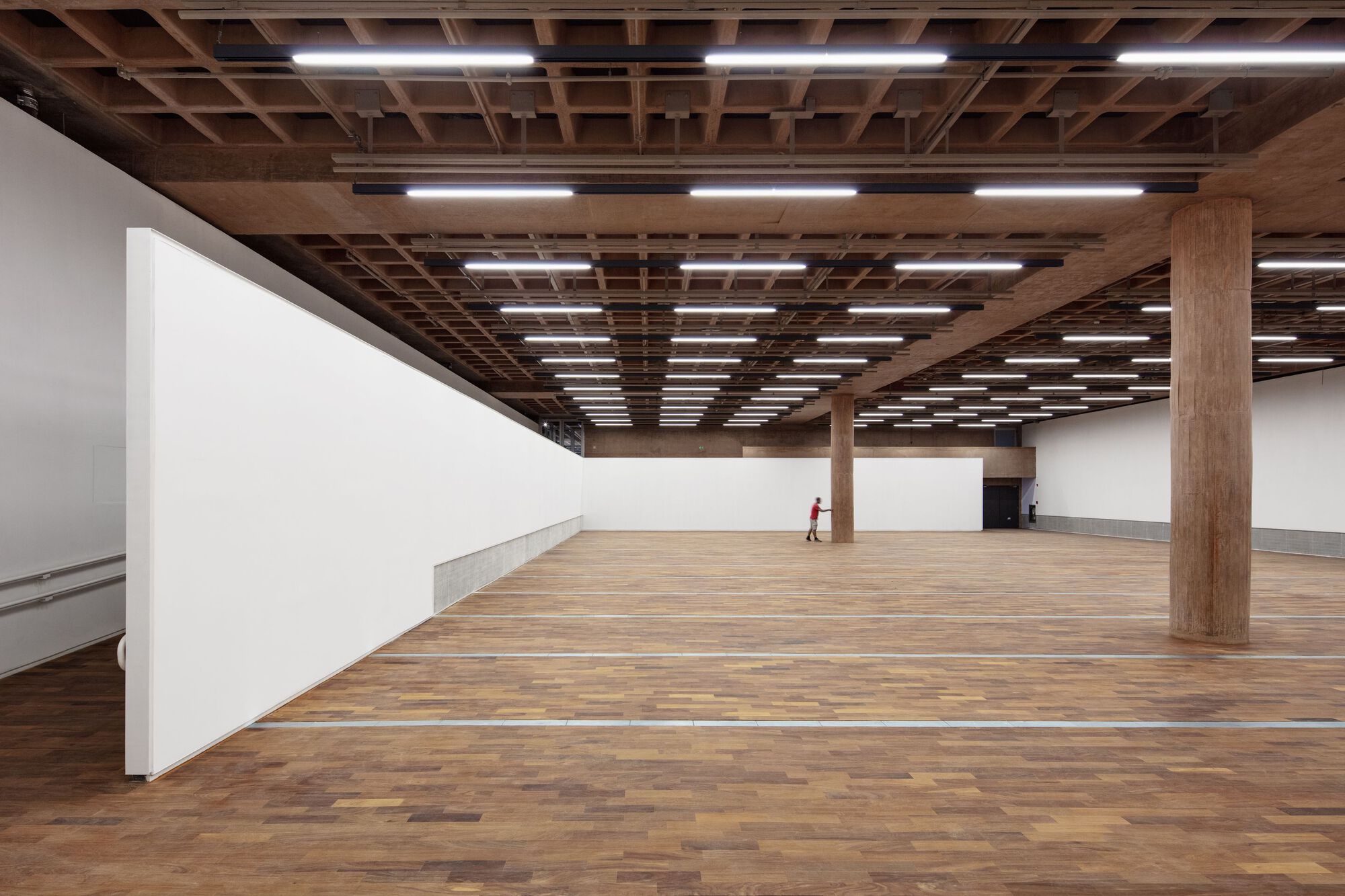 Open gallery space with timber coffered ceiling, integrated lighting strips, and a lone visitor on wood floors