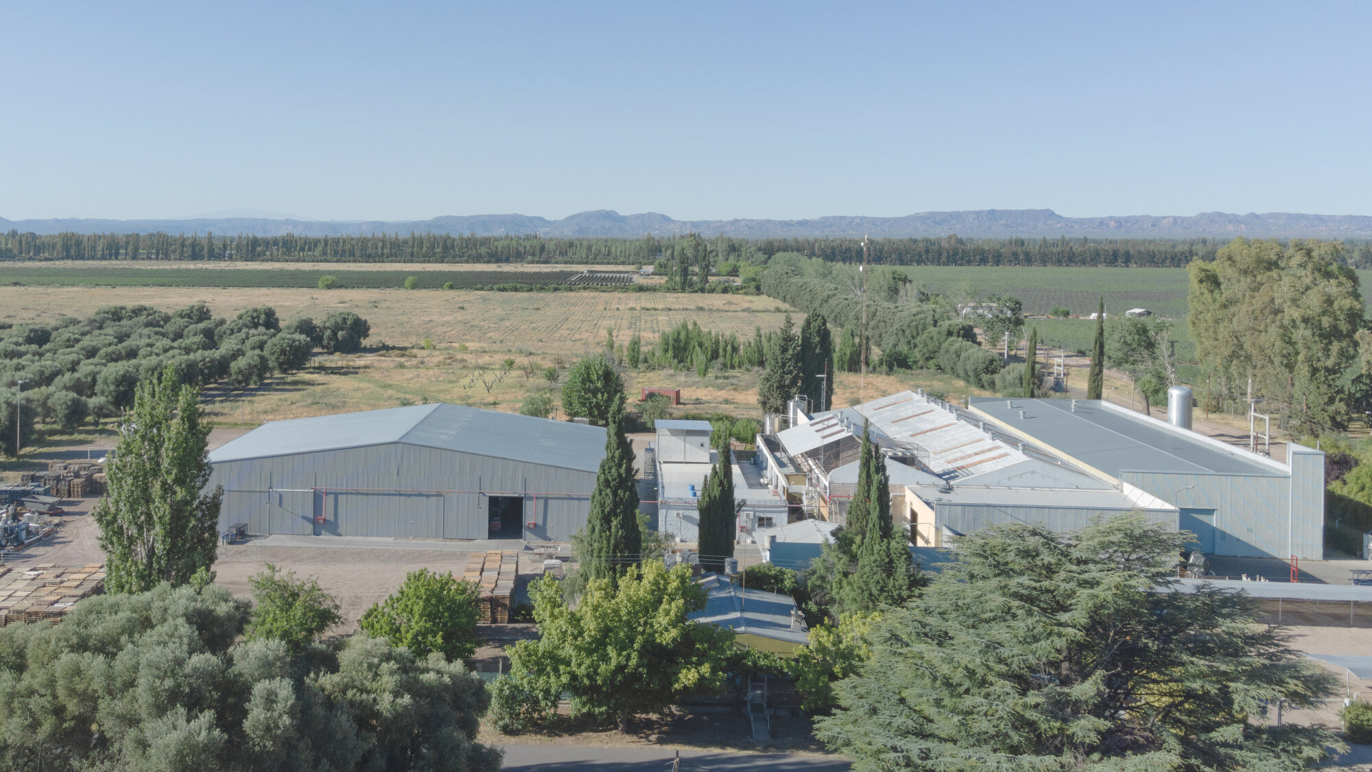 Drone view showing the industrial shed among cypress trees with distant mountains on the horizon
