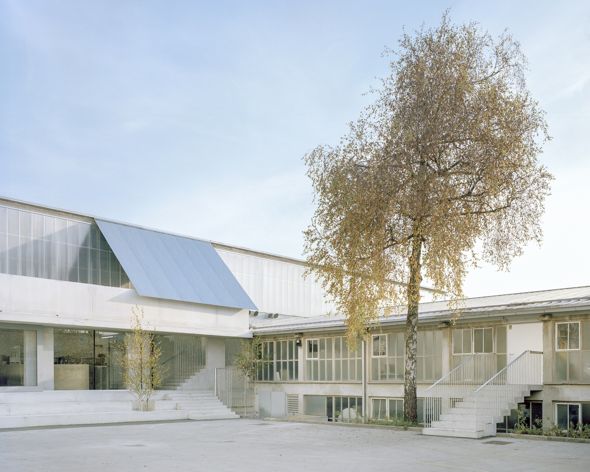 Courtyard view of the white-clad complex with birch trees and angled metal roofline under overcast skies