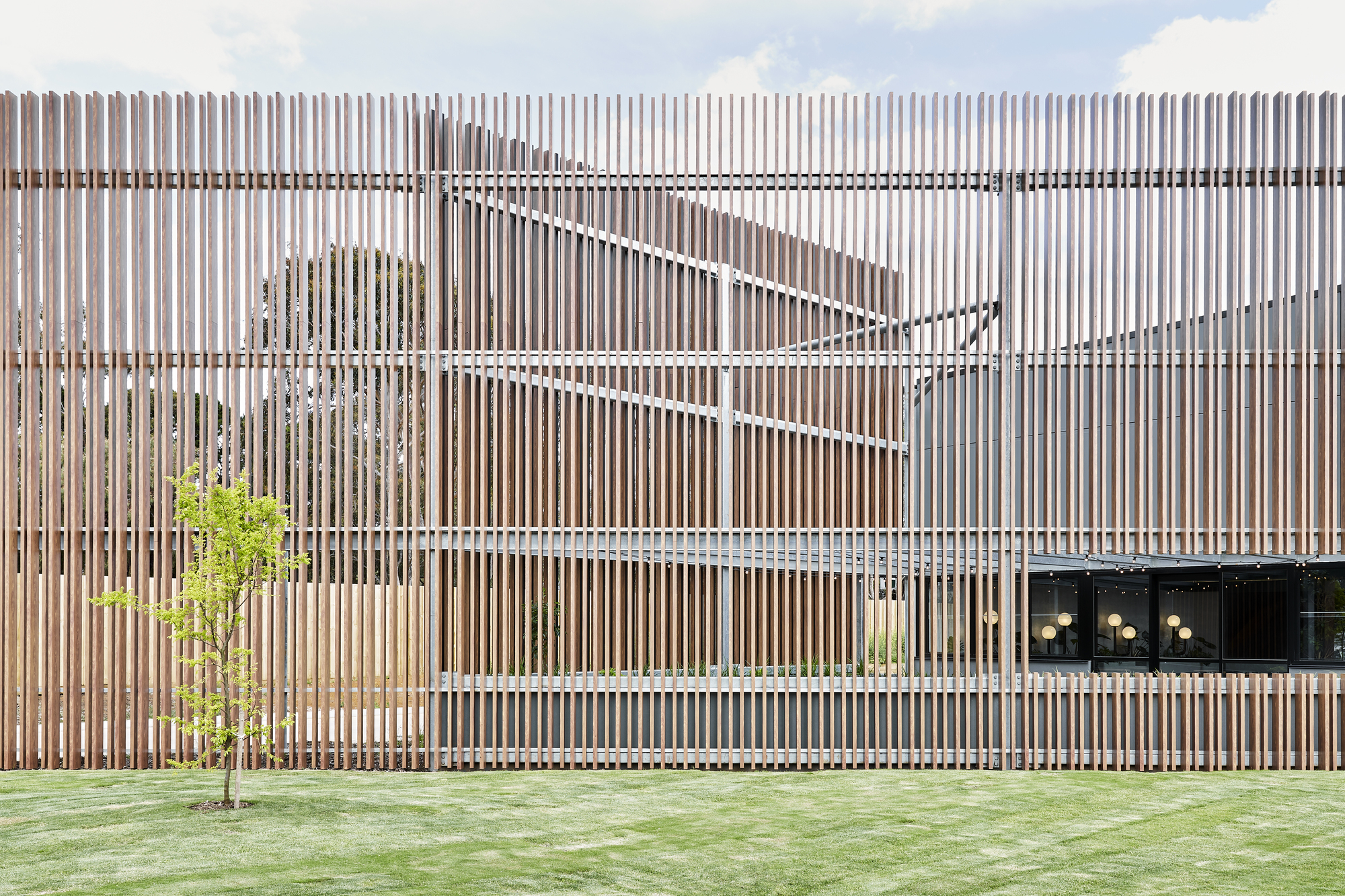 Vertical timber slat facade with triangular cutout pattern above lawn and young tree