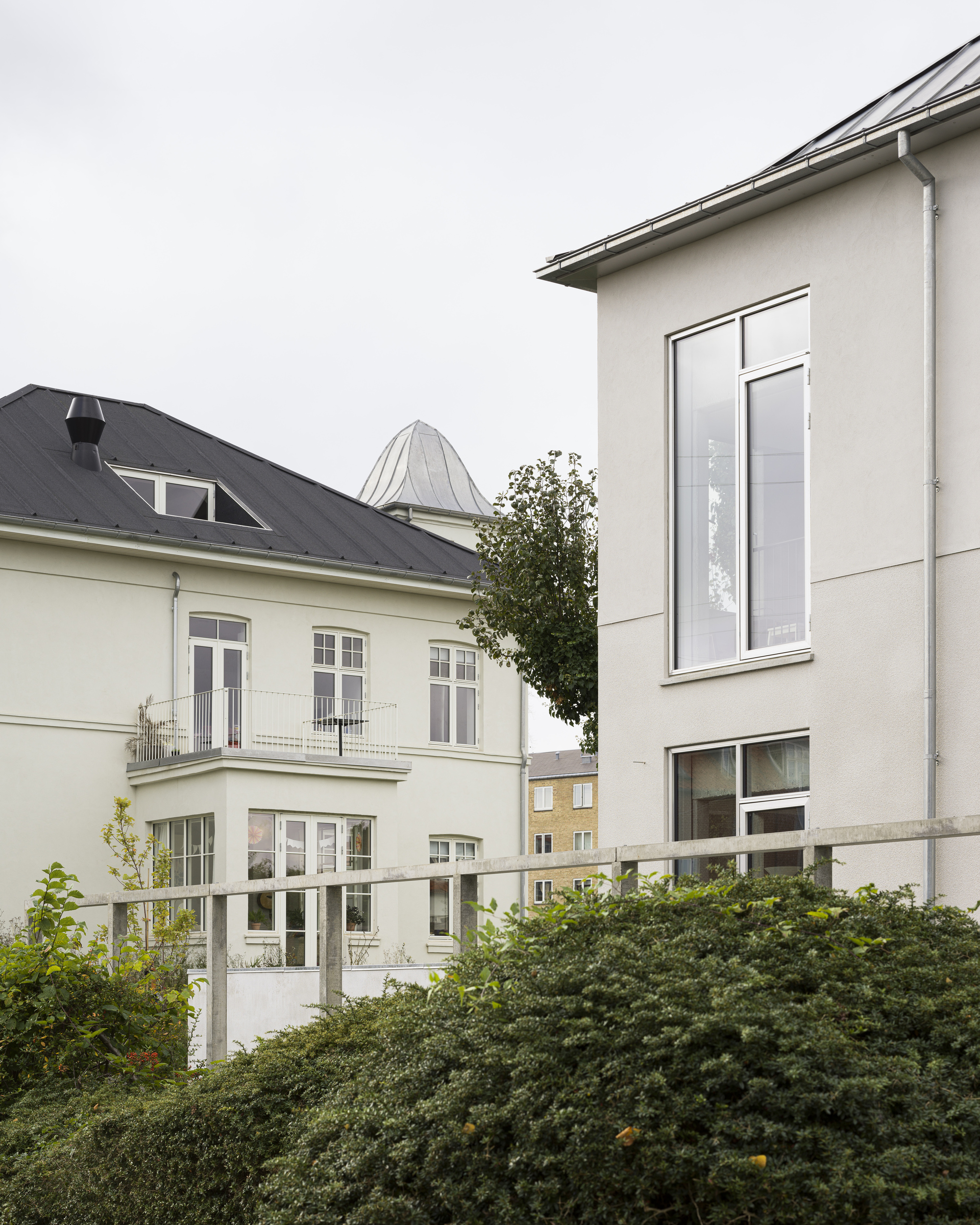 Rear garden view of white rendered facade additions rising above a hedge on an overcast day