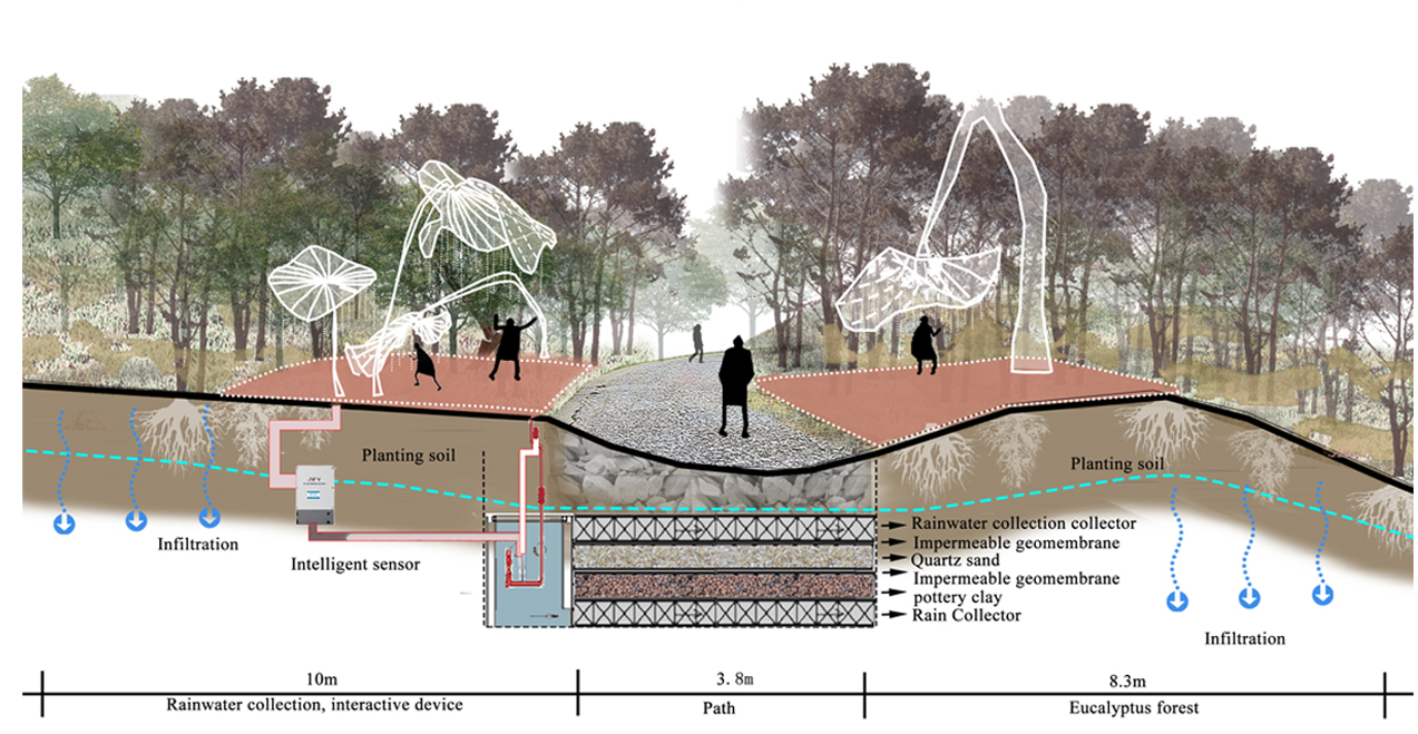 Integrated rainwater harvesting and ecological infrastructure strengthen the project’s sustainable response to wildfire-prone environments.