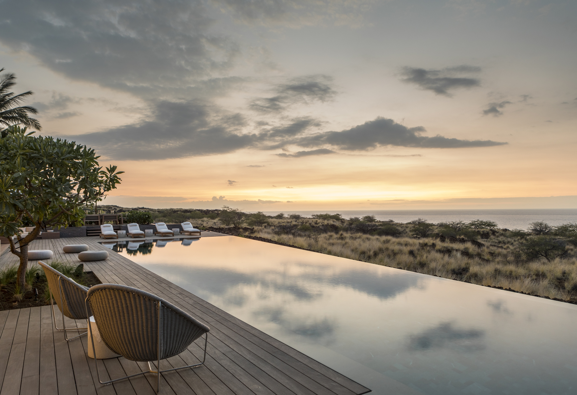 Infinity pool with timber deck overlooking coastal grassland at sunset