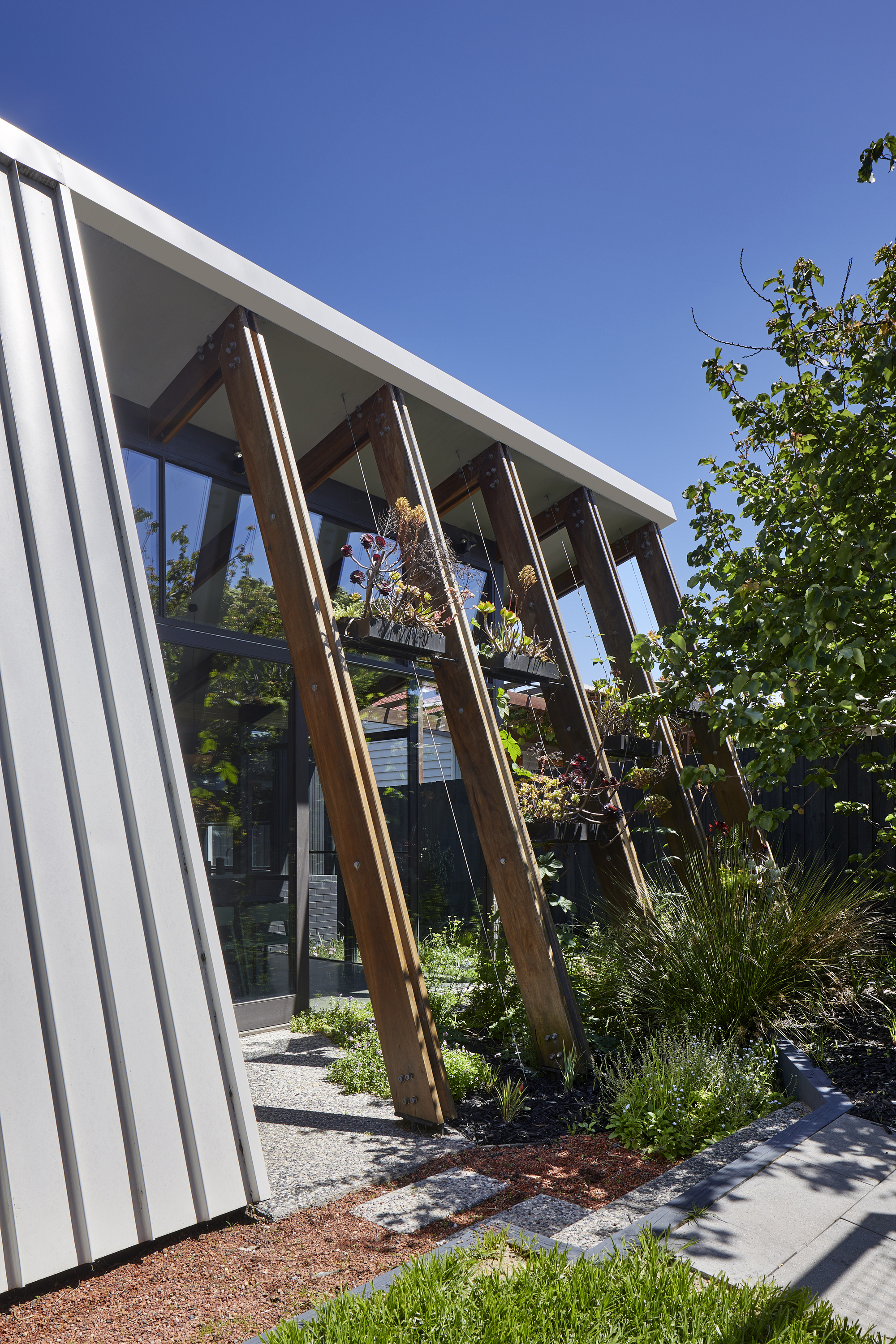 Angled timber columns supporting a glazed pavilion beside planted beds under a clear blue sky
