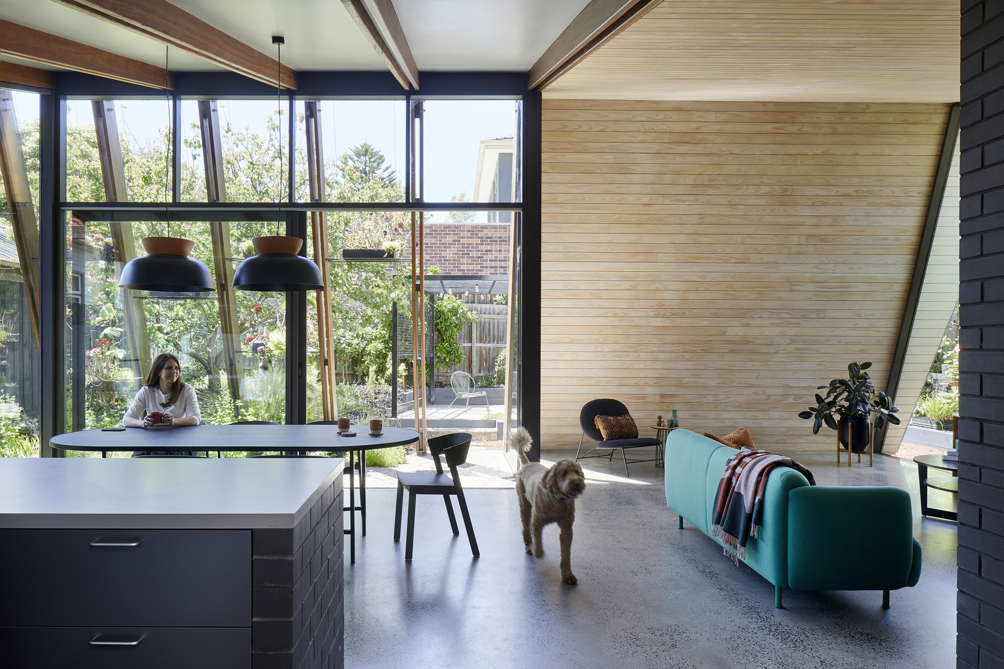 Living area with light timber wall and polished concrete floor as a dog walks through the space