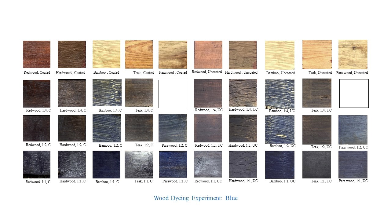 Chart displaying blue wood dye experiments on various species with labeled coating and stain variations