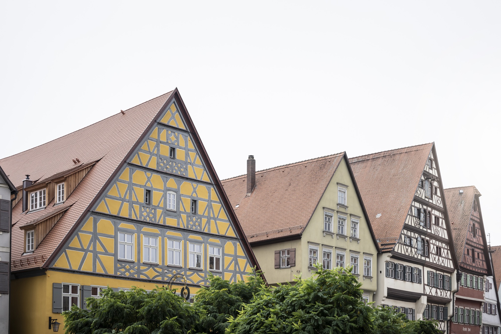 Street view of clustered timber-framed buildings with steep tiled roofs above a row of trees