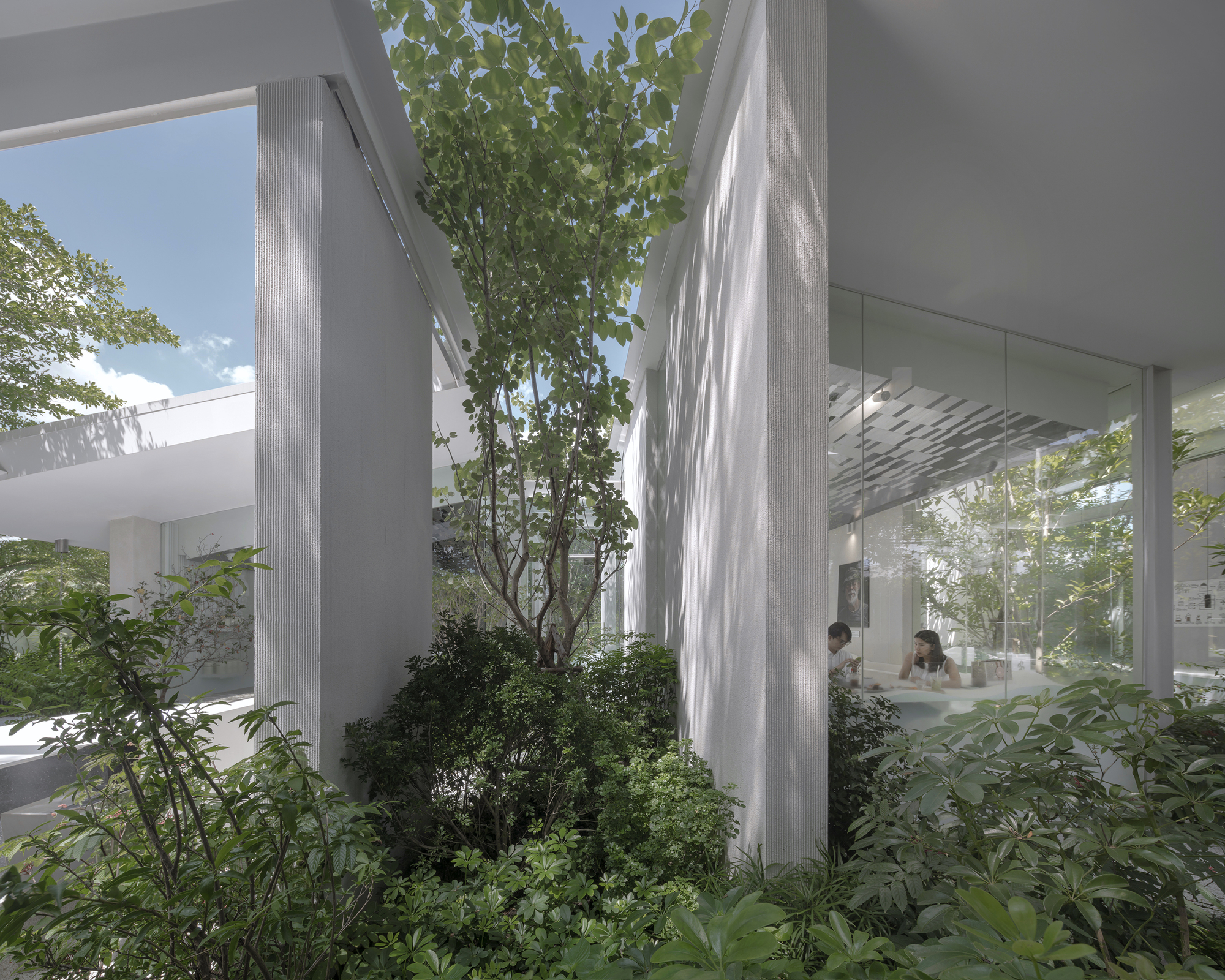 Planted courtyard with trees and shrubs between concrete columns visible through transparent facade
