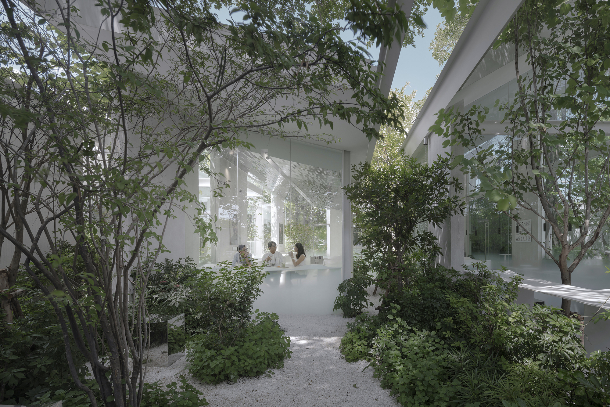 Planted courtyard path with gravel surface leading through trees toward a glass-walled interior space