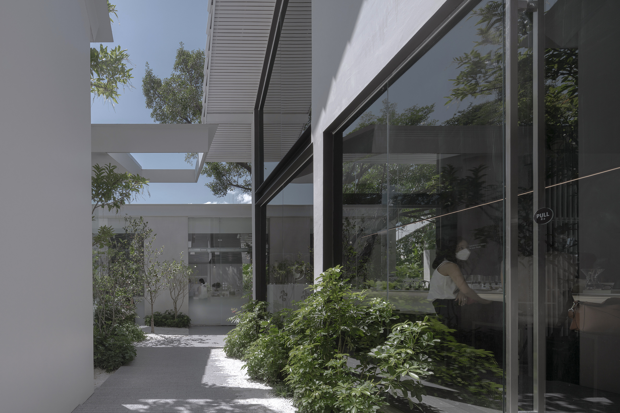Glass facade with dark frames reflecting courtyard greenery beside a planted bed with low shrubs