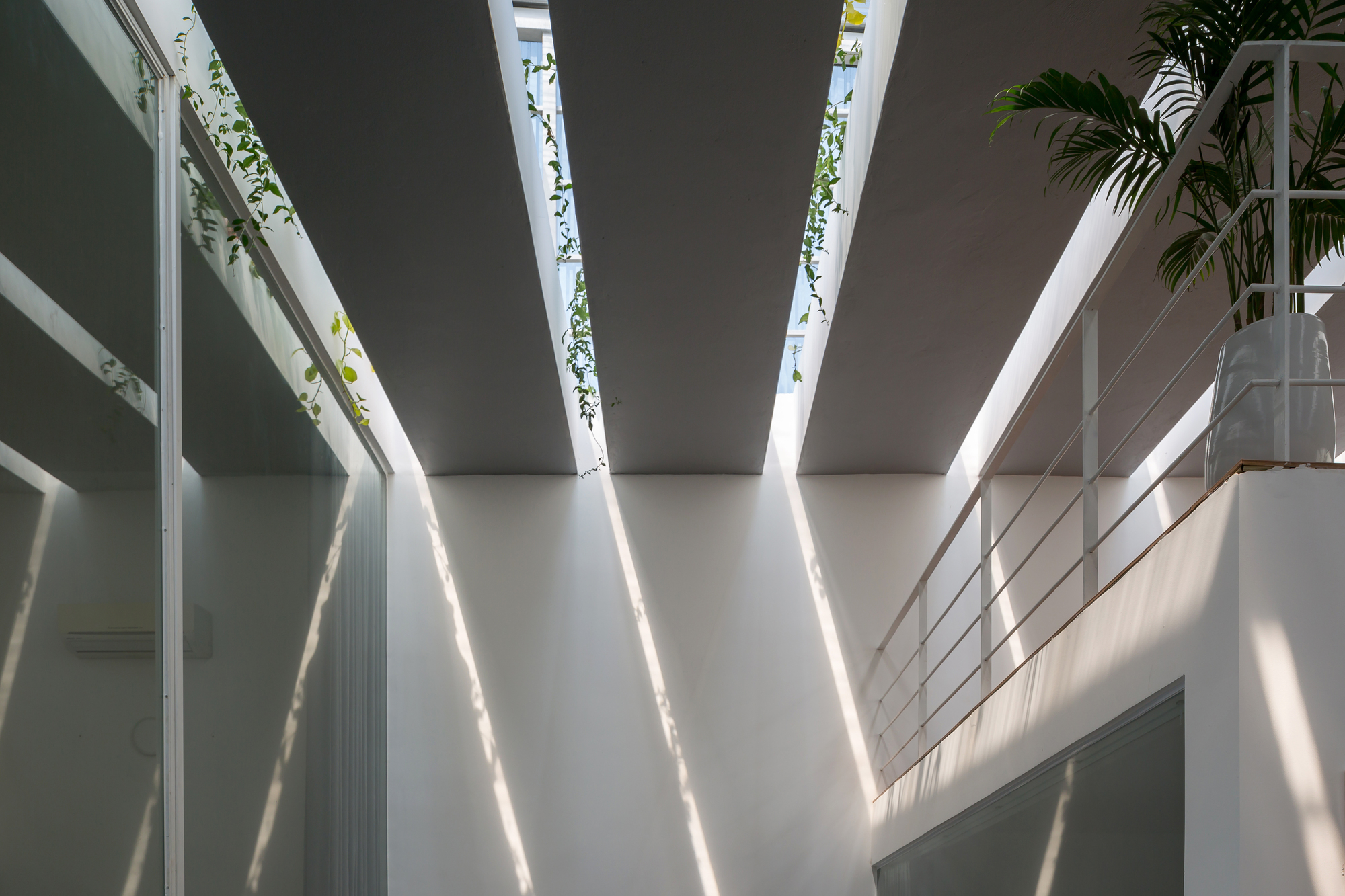 Skylight beams casting diagonal shadows across white walls with trailing plants descending from above
