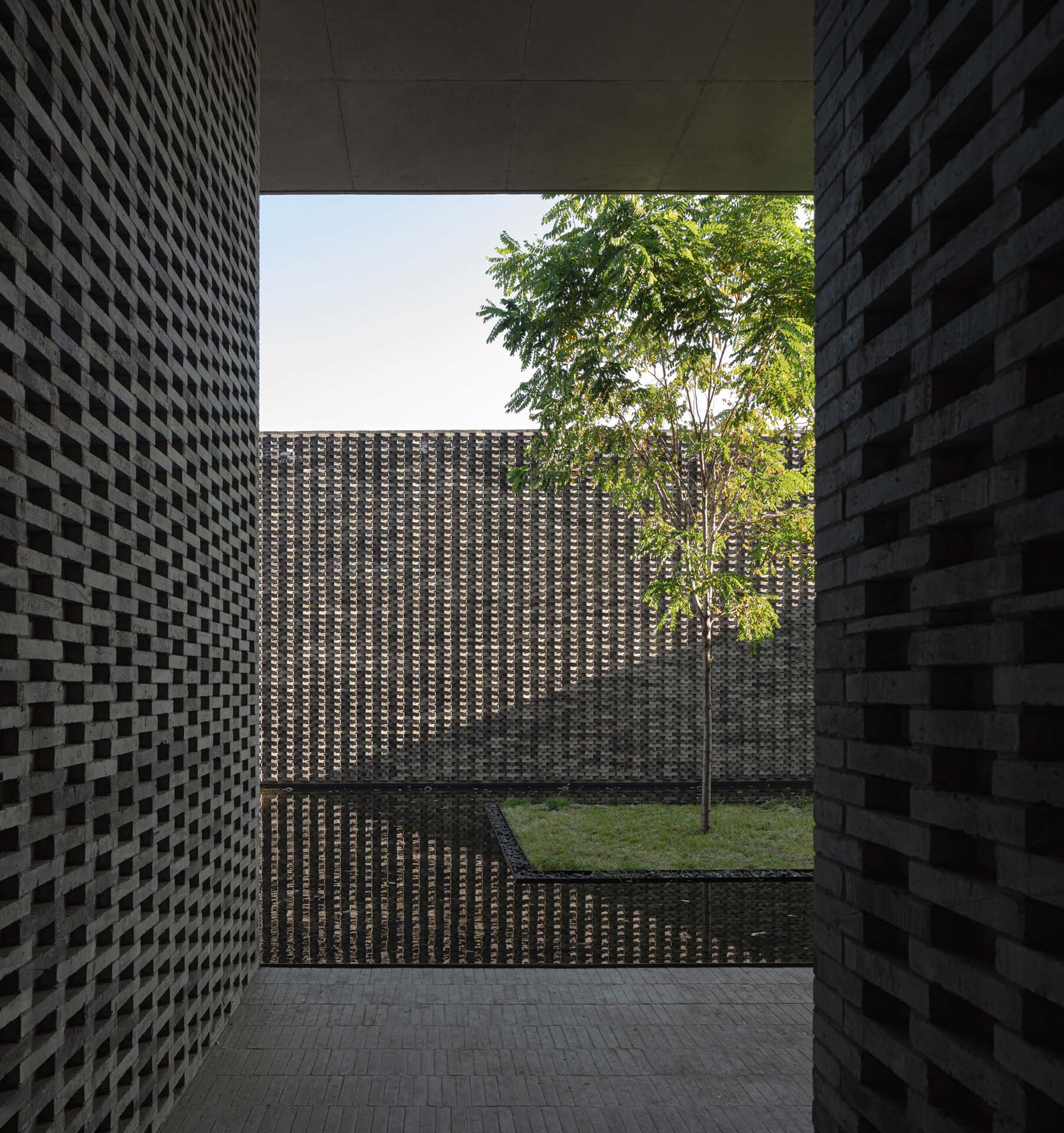 Framed courtyard view through textured masonry walls with a young tree in sunlight