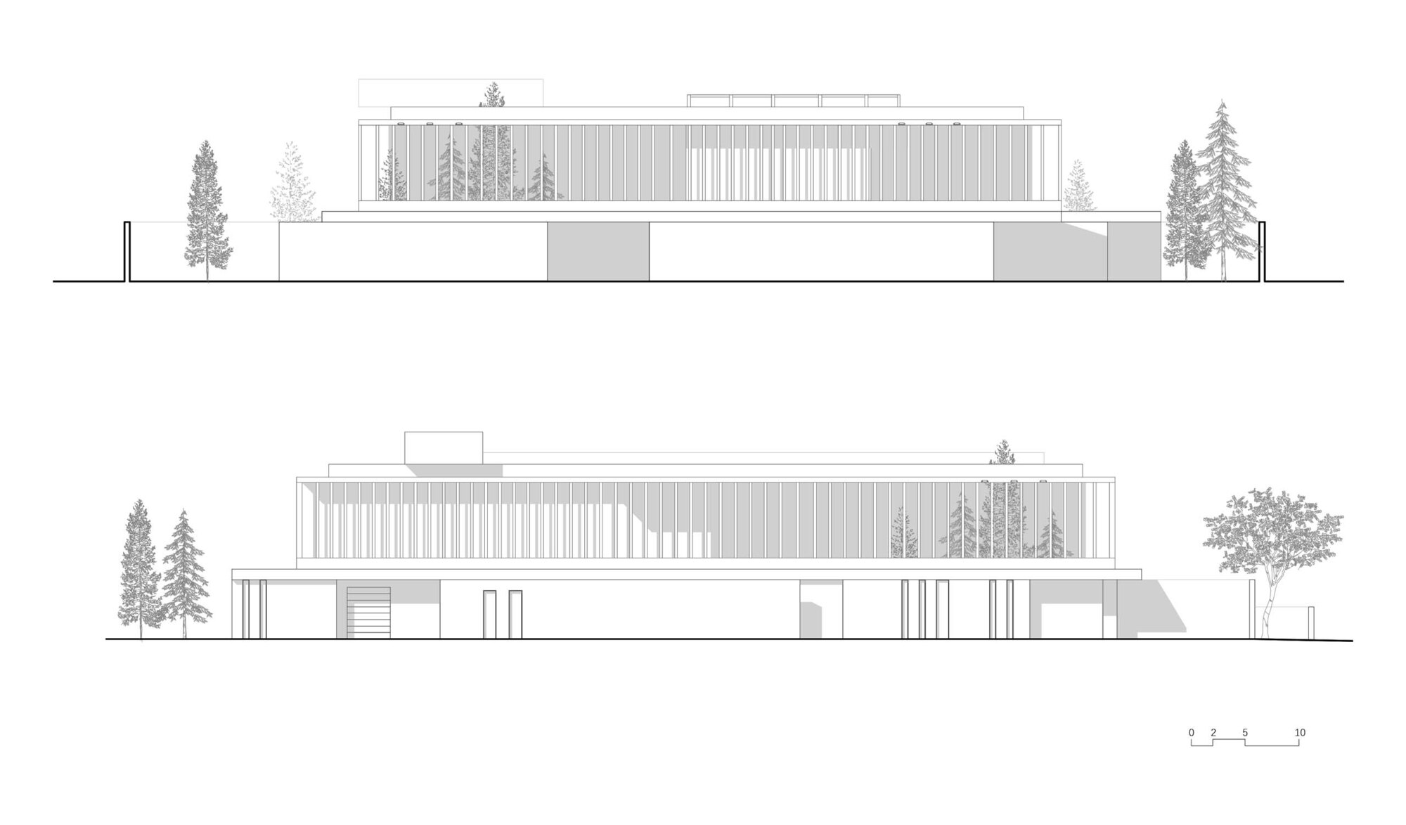 Elevation drawings of two facades with vertical slatted screens and flanking coniferous trees