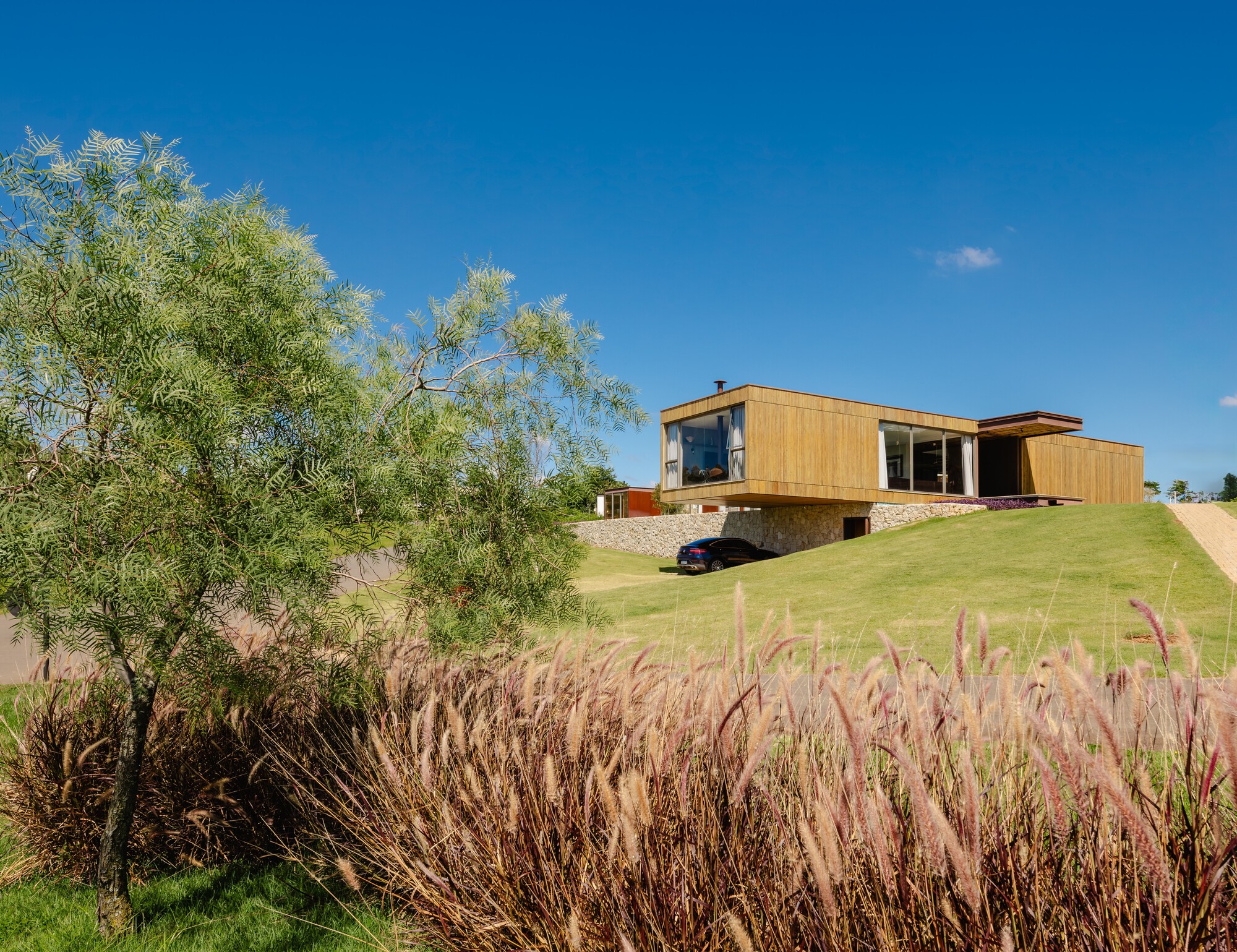 Timber-clad volumes on a stone plinth set into sloping terrain with native grasses and shrubs in foreground