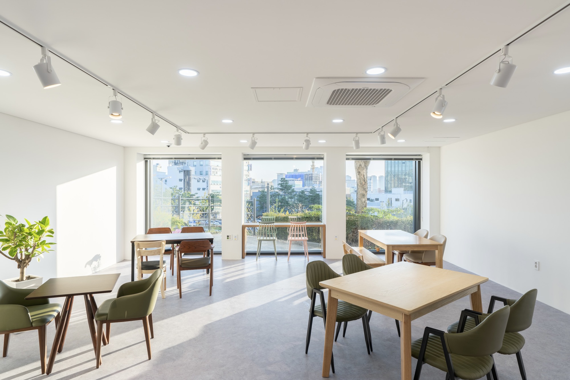 Interior dining room with timber tables, olive upholstered chairs, and floor-to-ceiling windows overlooking greenery