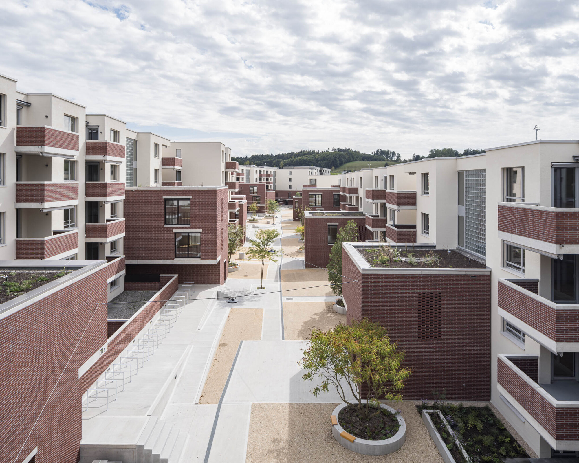 Elevated view across residential courtyard showing brick volumes, planted beds, and pathways between housing blocks