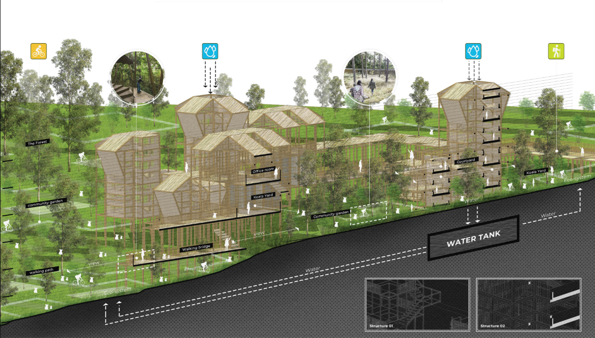 Modular timber structures create a shared environment where koala rehabilitation, community life, and ecological restoration coexist.