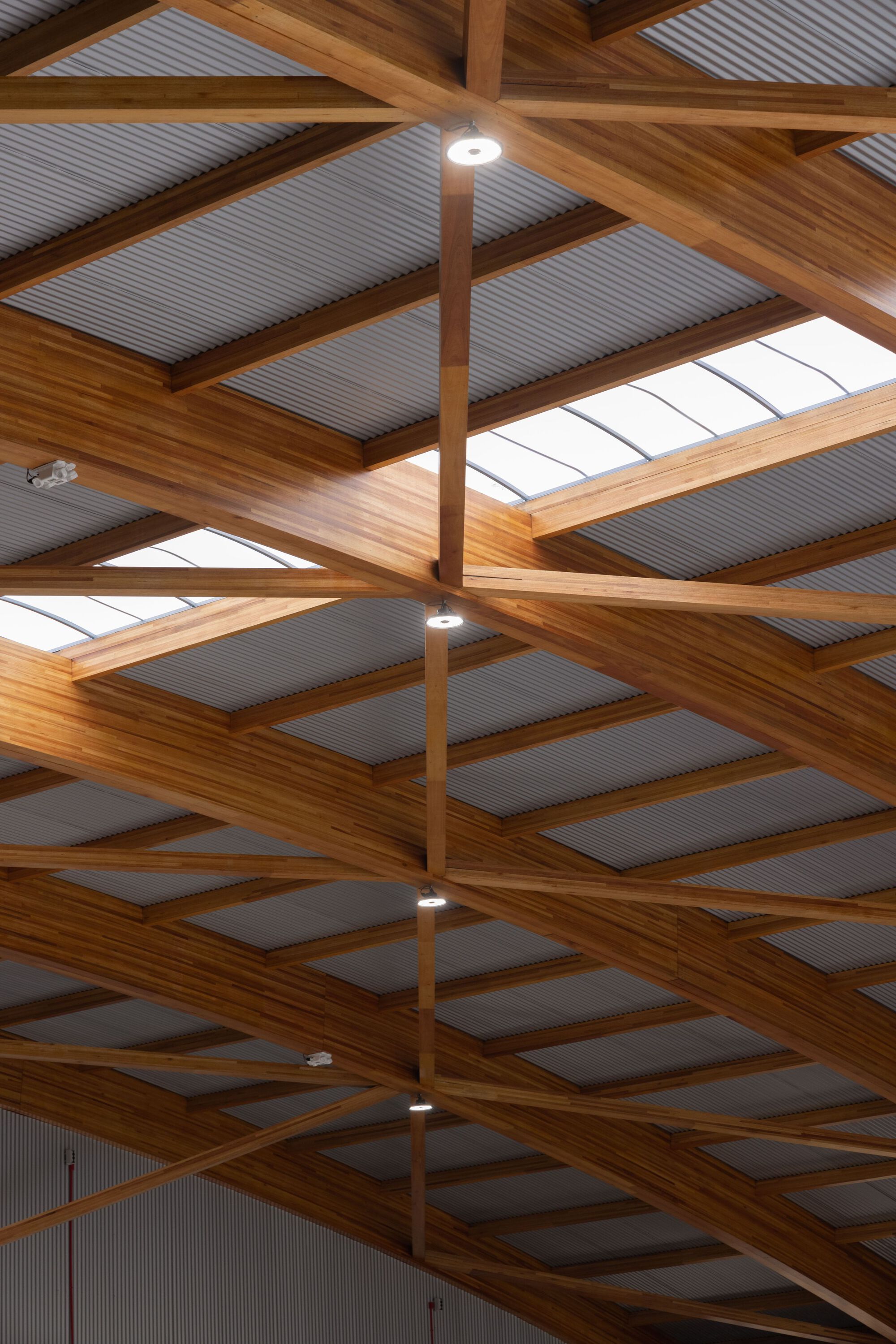 Looking up at the laminated timber beam structure with corrugated metal panels and skylights between trusses