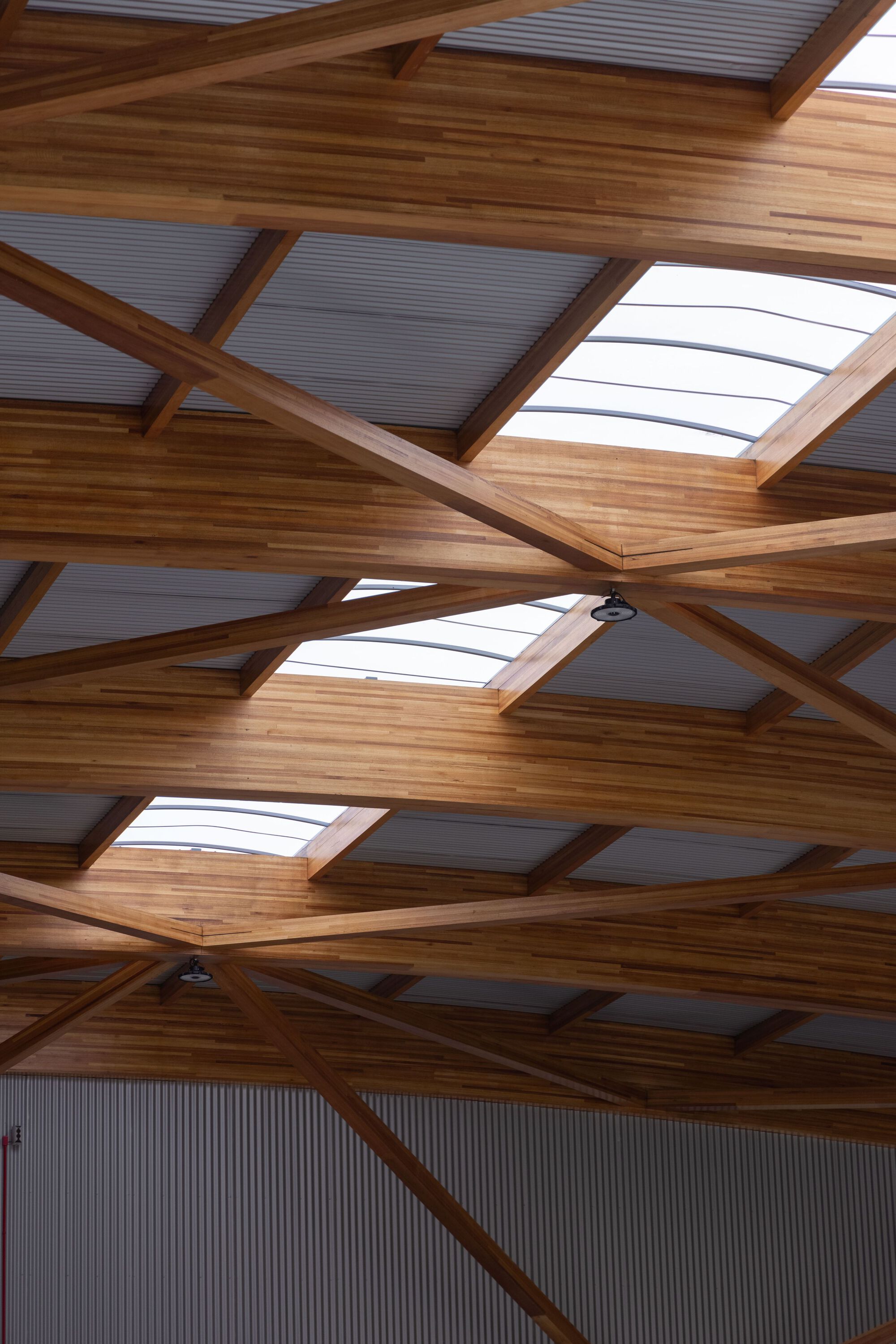 Diagonal timber roof beams intersecting with rectangular skylights bringing natural light into the hangar
