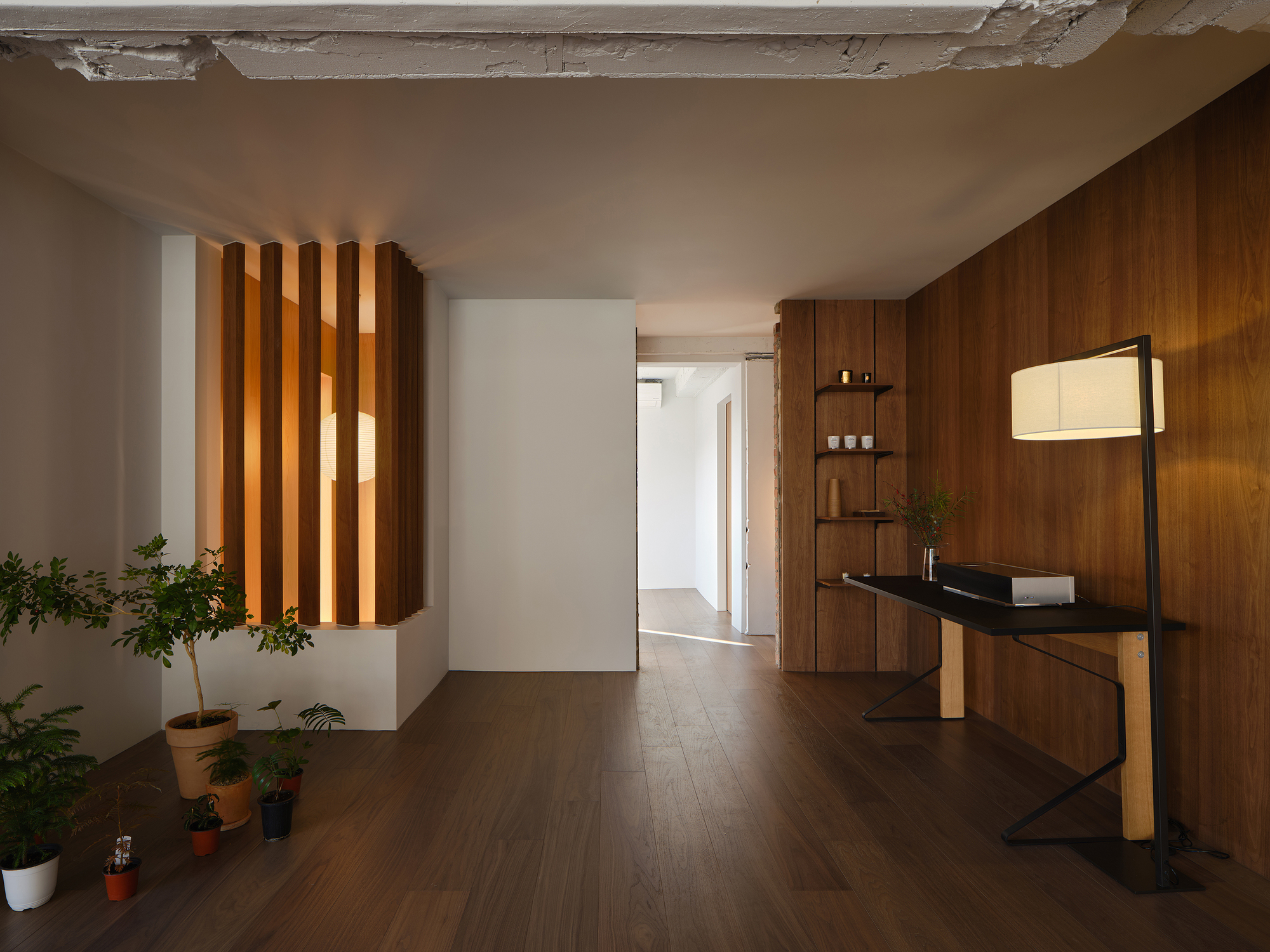 Interior hallway with backlit timber slat screen and walnut paneling adjacent to potted plants on the floor