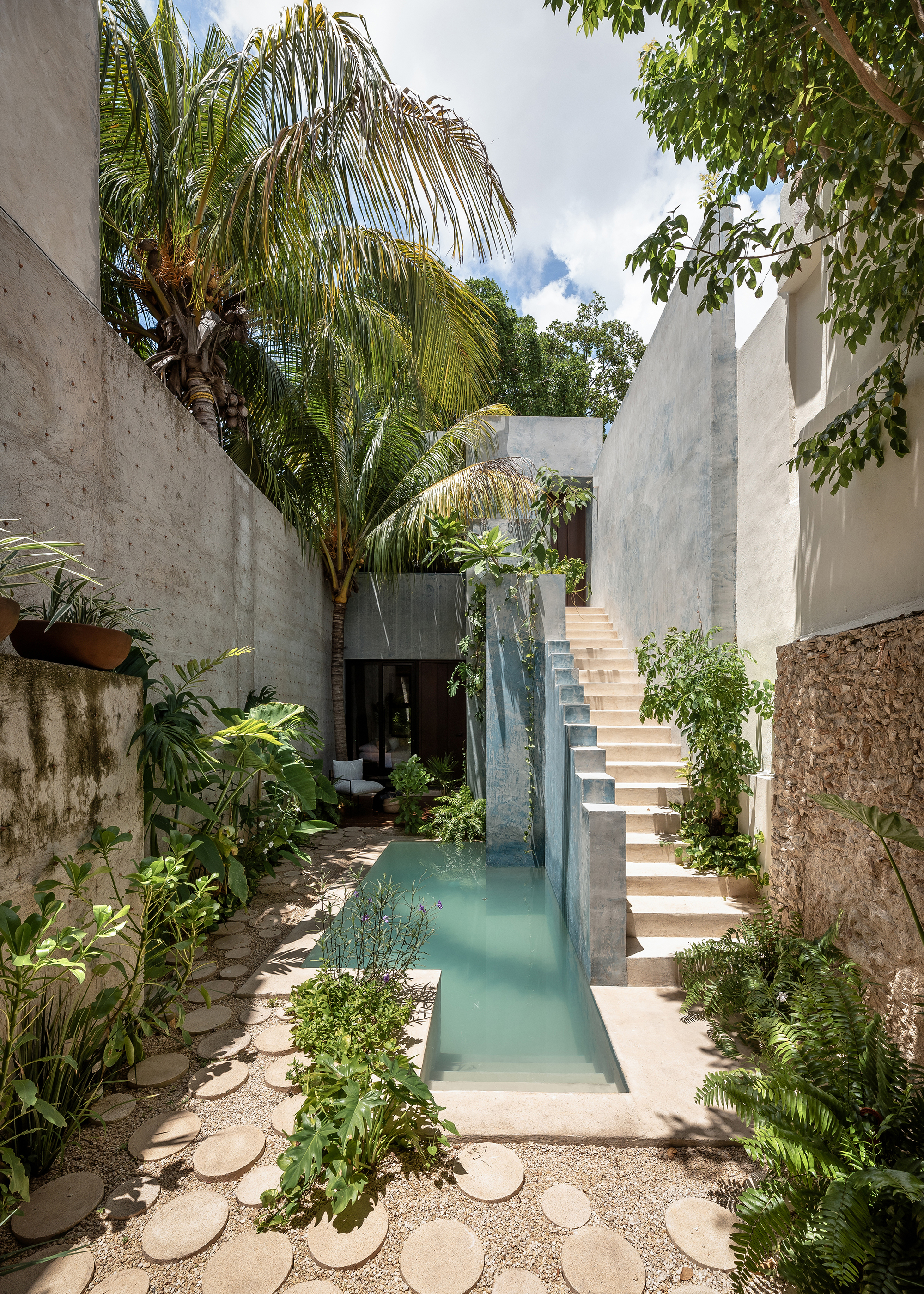 Courtyard view showing concrete stair, lap pool, and palm tree framed by textured plaster walls