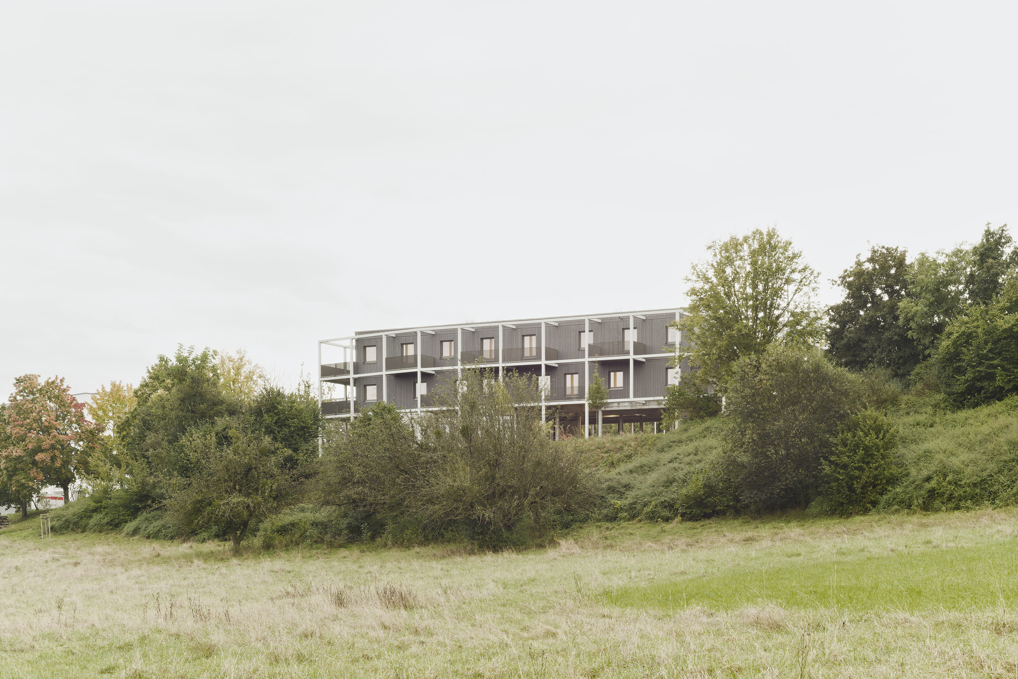 Three-story residential building with white frame and dark cladding on a hillside overlooking a grassy meadow