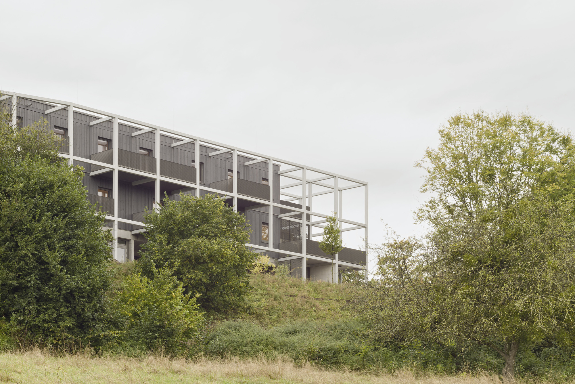 Side view of the white structural frame and dark timber cladding rising above native shrubs and grasses