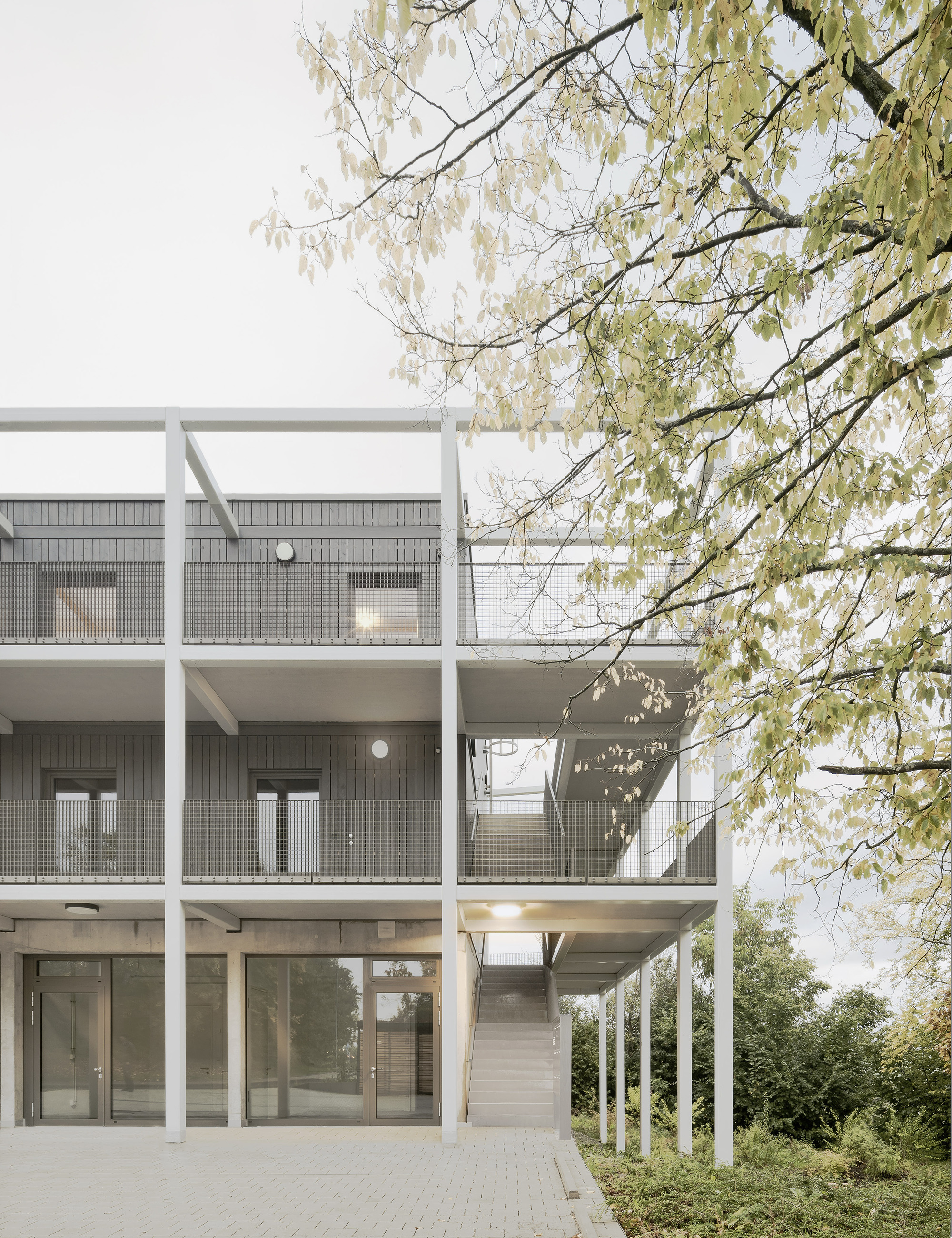 Facade detail showing white structural frame with perforated metal balcony screens beneath overhanging tree branches