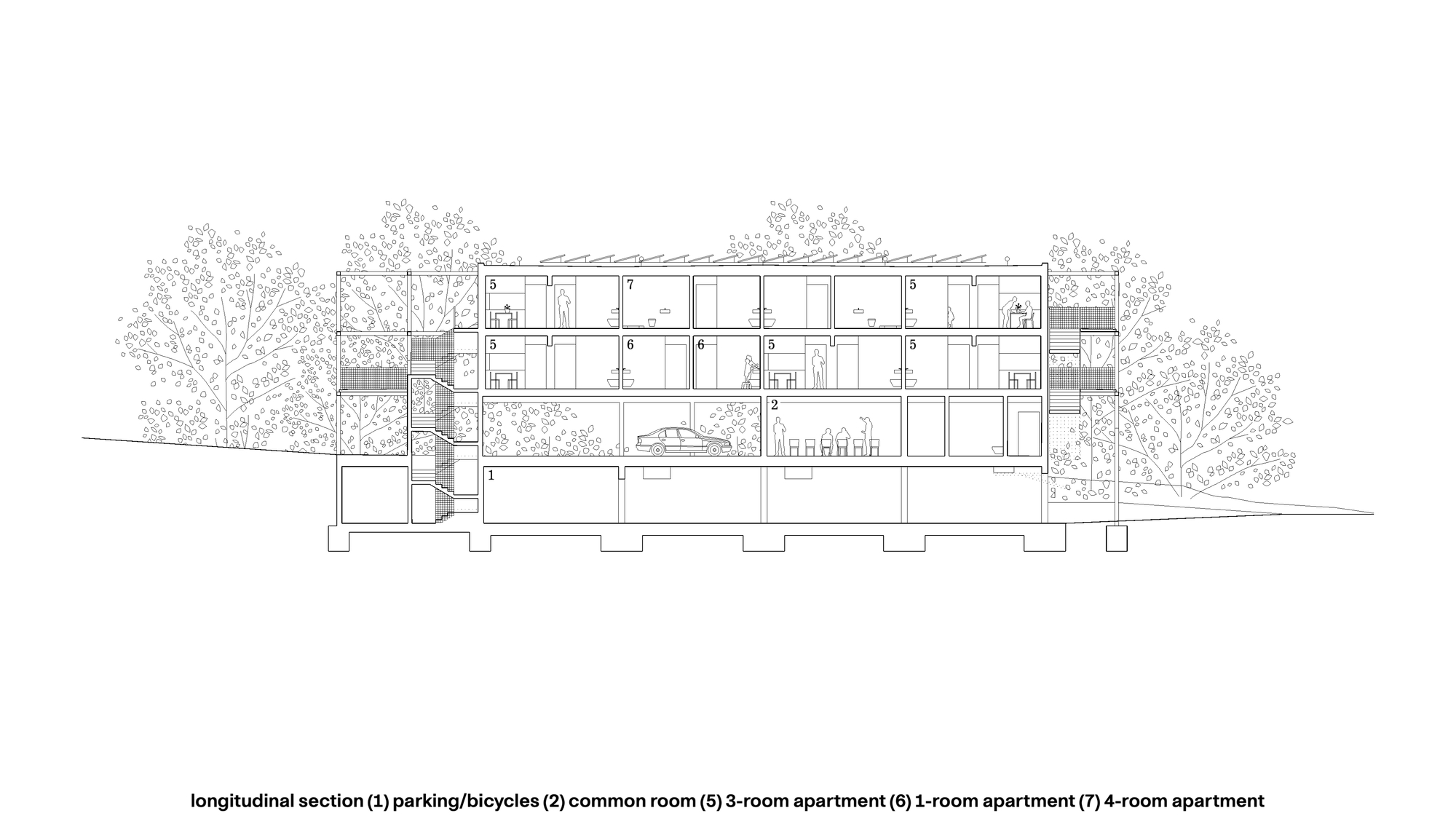 Longitudinal section drawing showing stacked residential units with parking below and trees at grade