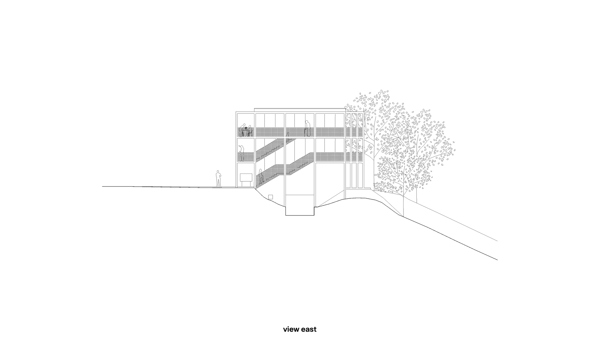 East elevation drawing showing a rectangular building with diagonal banding and a flanking tree on sloped terrain
