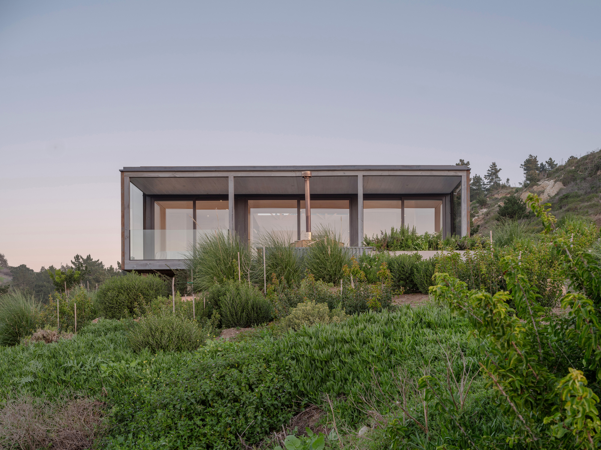 Glazed upper pavilion with steel frame and planted native grasses at twilight