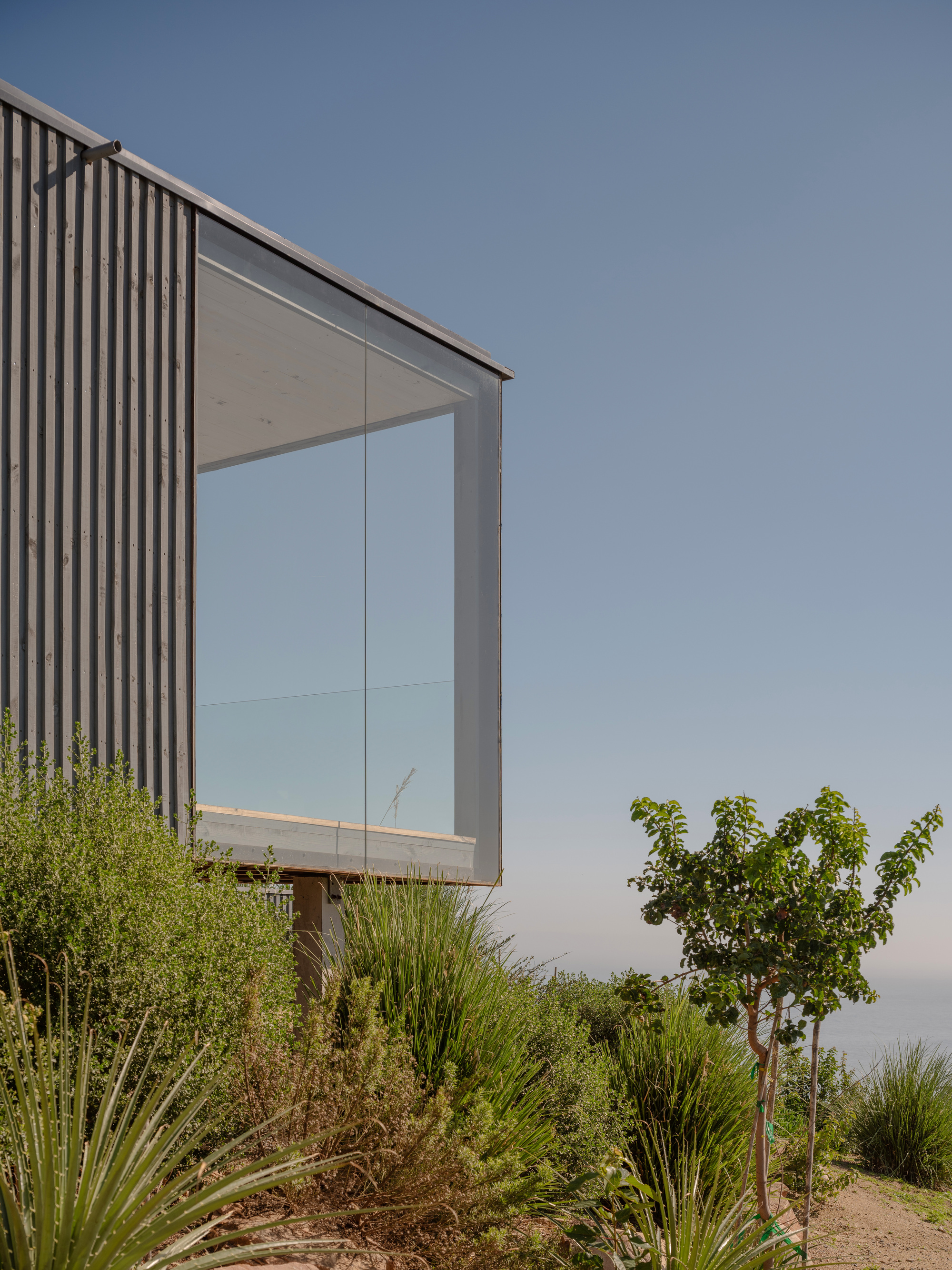 Corner detail of the vertical timber-clad facade with full-height glazing overlooking planted native grasses and trees