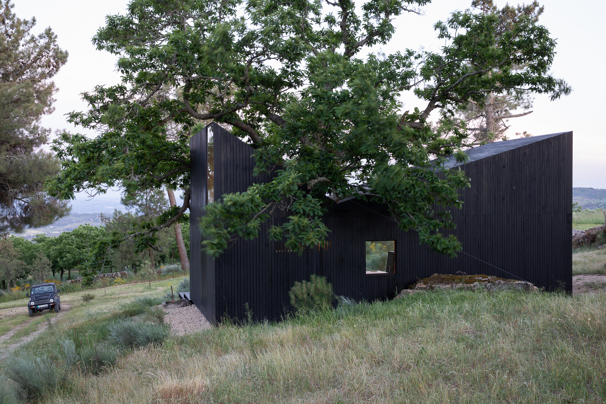 Black vertical timber cladding wrapping a pair of linked volumes beneath spreading tree branches