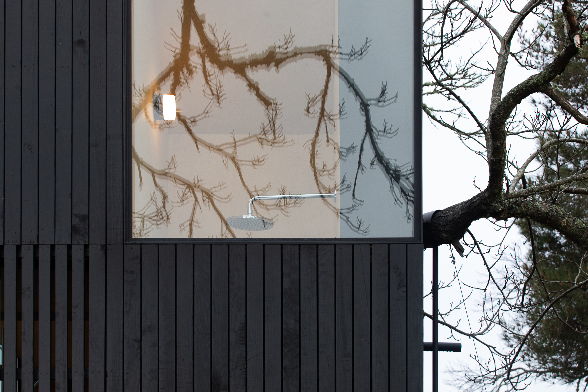 Square window framing bare tree branches reflected in glass against black vertical timber cladding