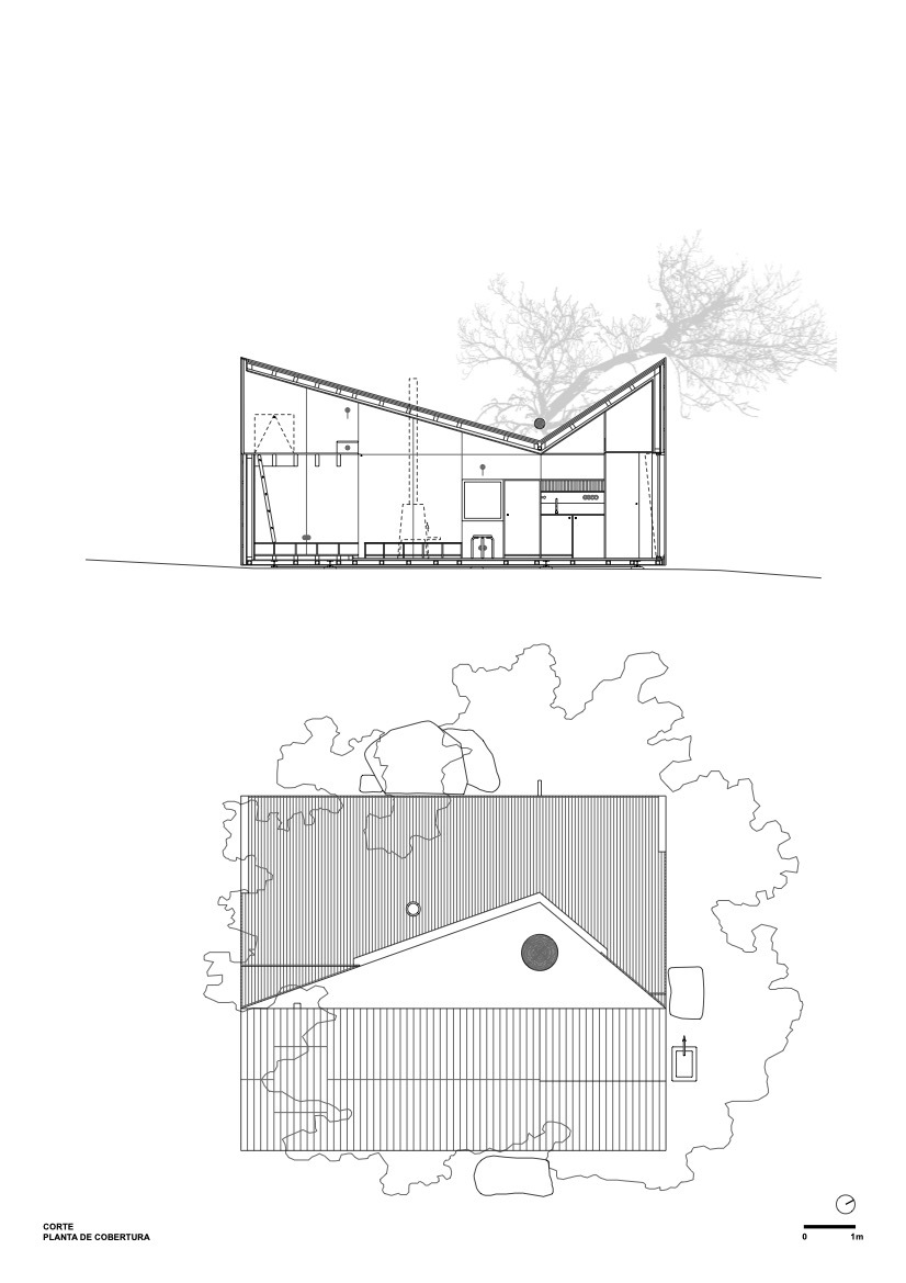 Section drawing and roof plan showing angled roof forms with interior volumes and surrounding trees