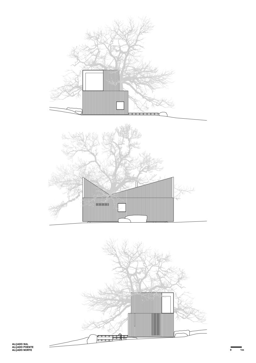 Elevation drawings showing vertical volumes with corrugated cladding and adjacent mature trees