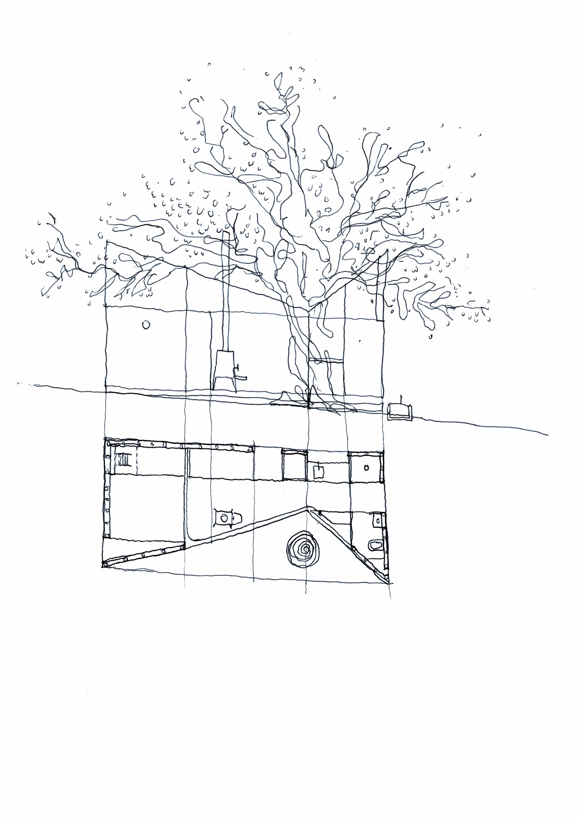 Section sketch with floor plan overlay featuring a large tree growing through the structure
