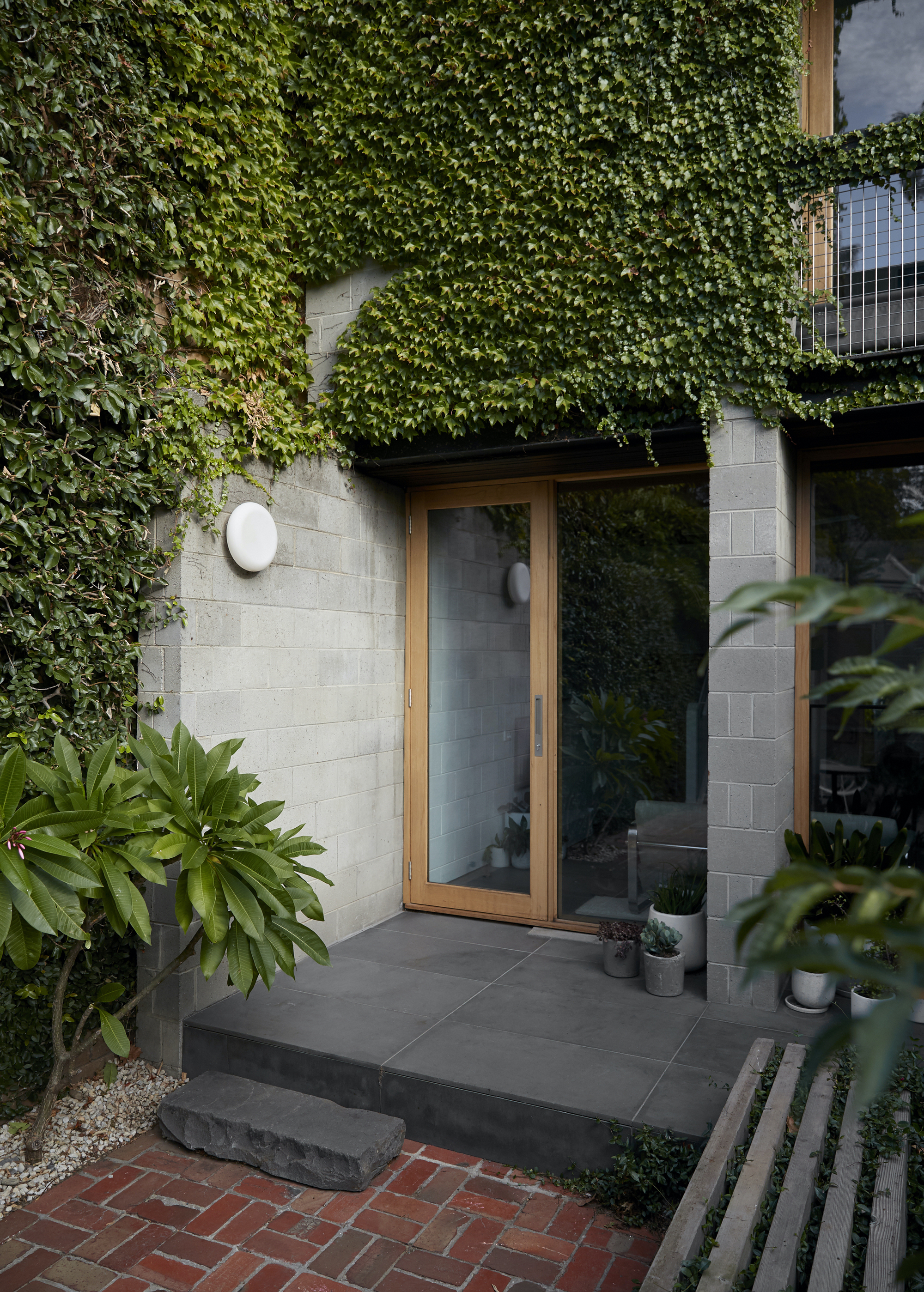 Ground-level courtyard with concrete block walls draped in ivy and glazed doors opening to interior