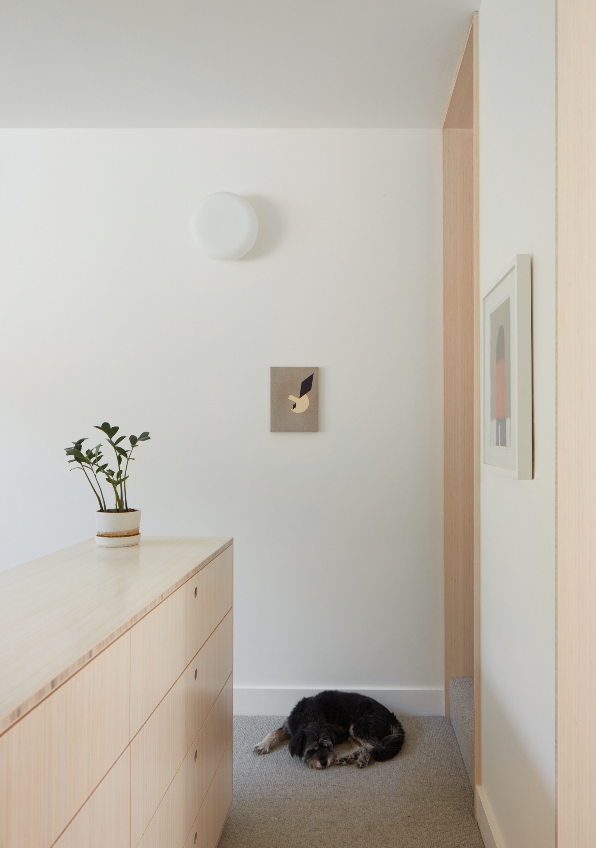 Pale timber storage unit and corridor with a dog resting on grey carpet under soft daylight