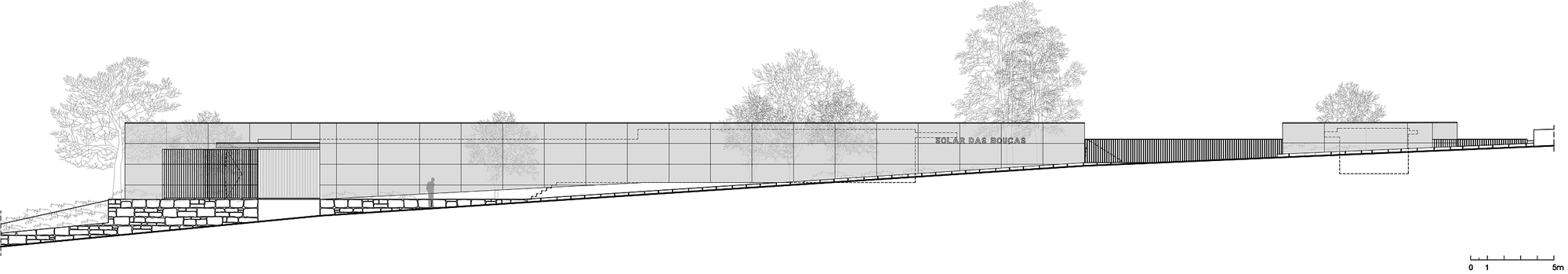 Elevation drawing showing a long horizontal volume with glazed and solid panels surrounded by mature trees