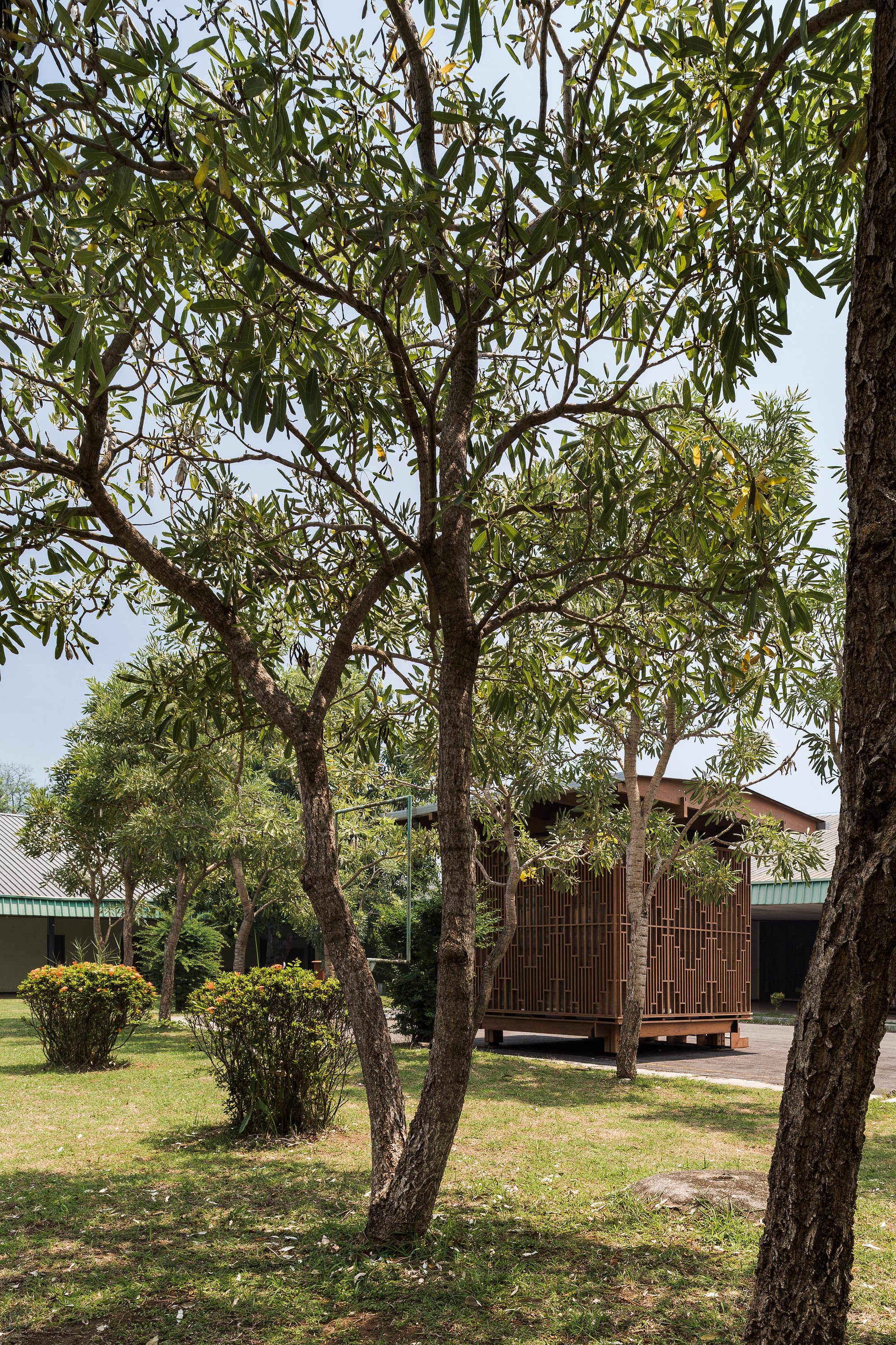 Distant view of the timber pavilion through a grove of trees on a lawn